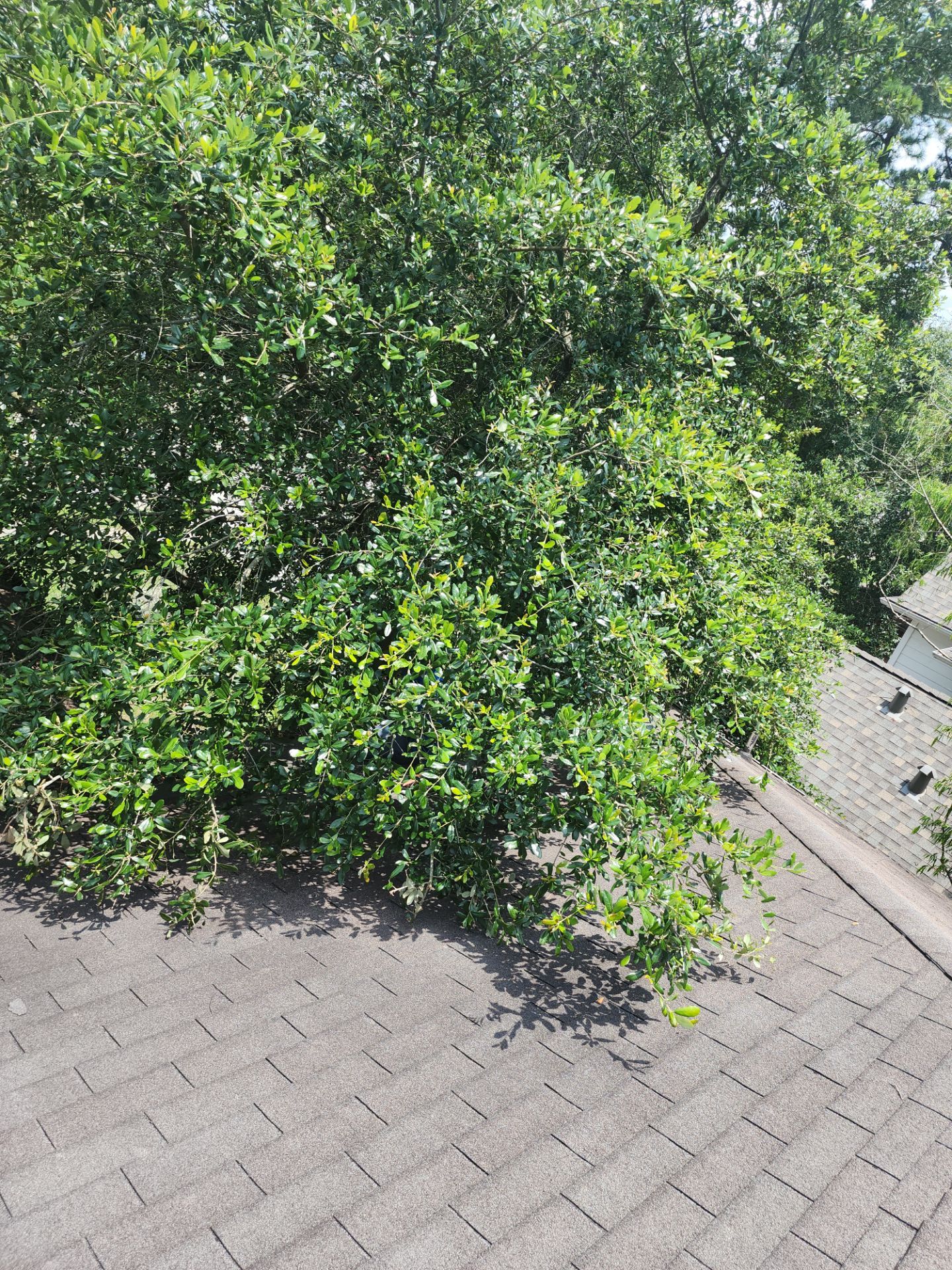 Residential Roofing Repair using Owen's Corning Duration (Lifetime) Shingles by Roof Repair Company