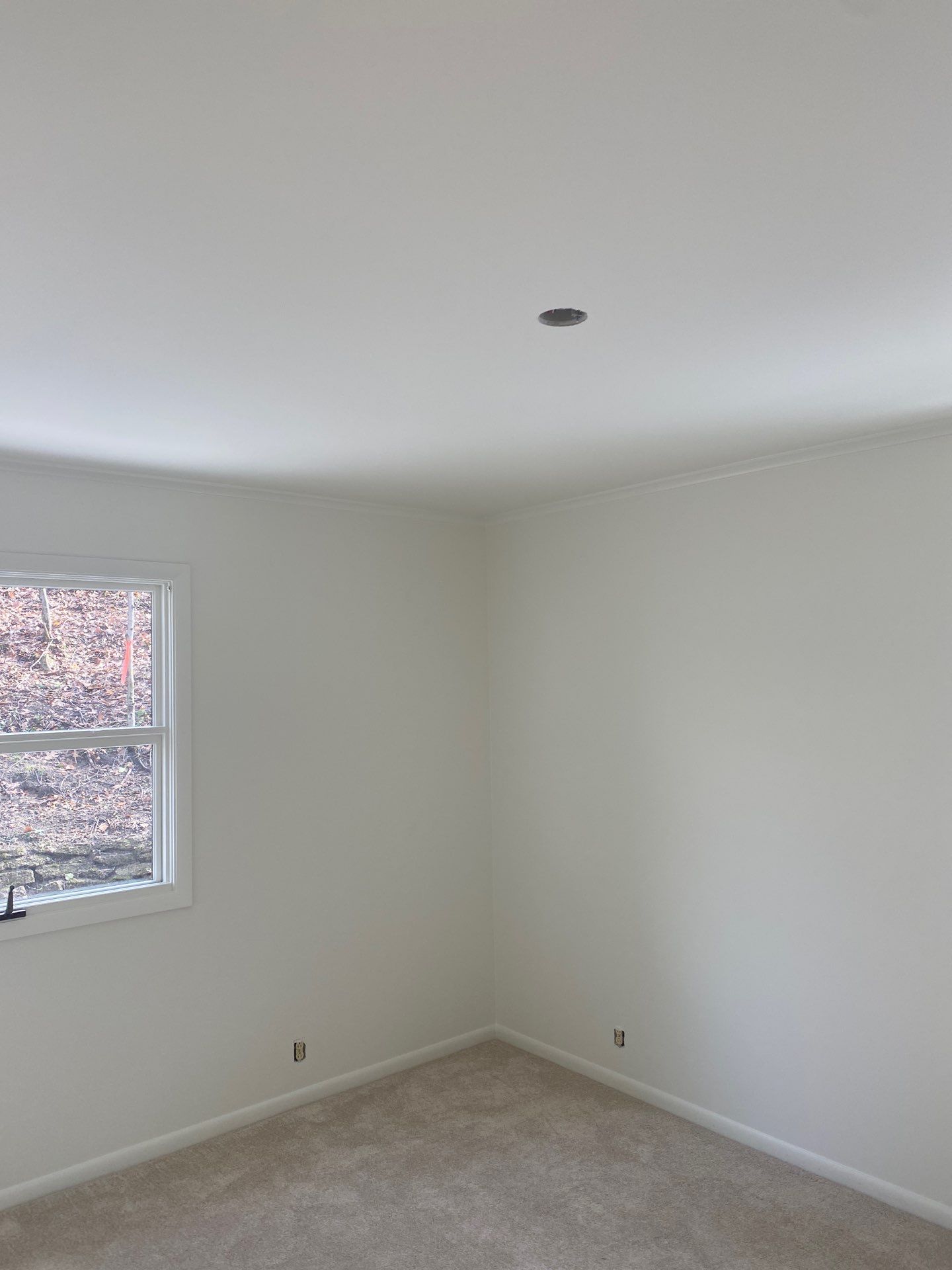Interior Painting & Drywall Repair | Grand Haven, MI by Gordon Painting