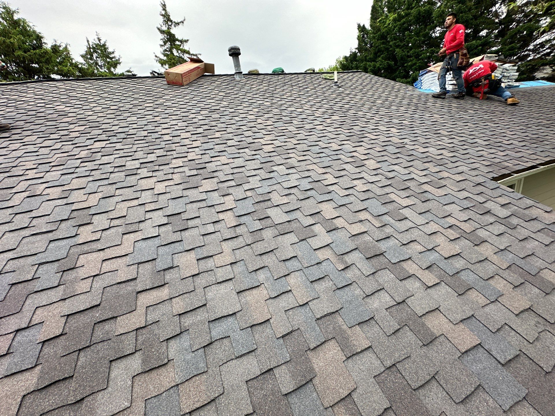 Designer Shingle Roof Replacement in Baltimore, MD • Susan S. by Seipp Roofing, LLC