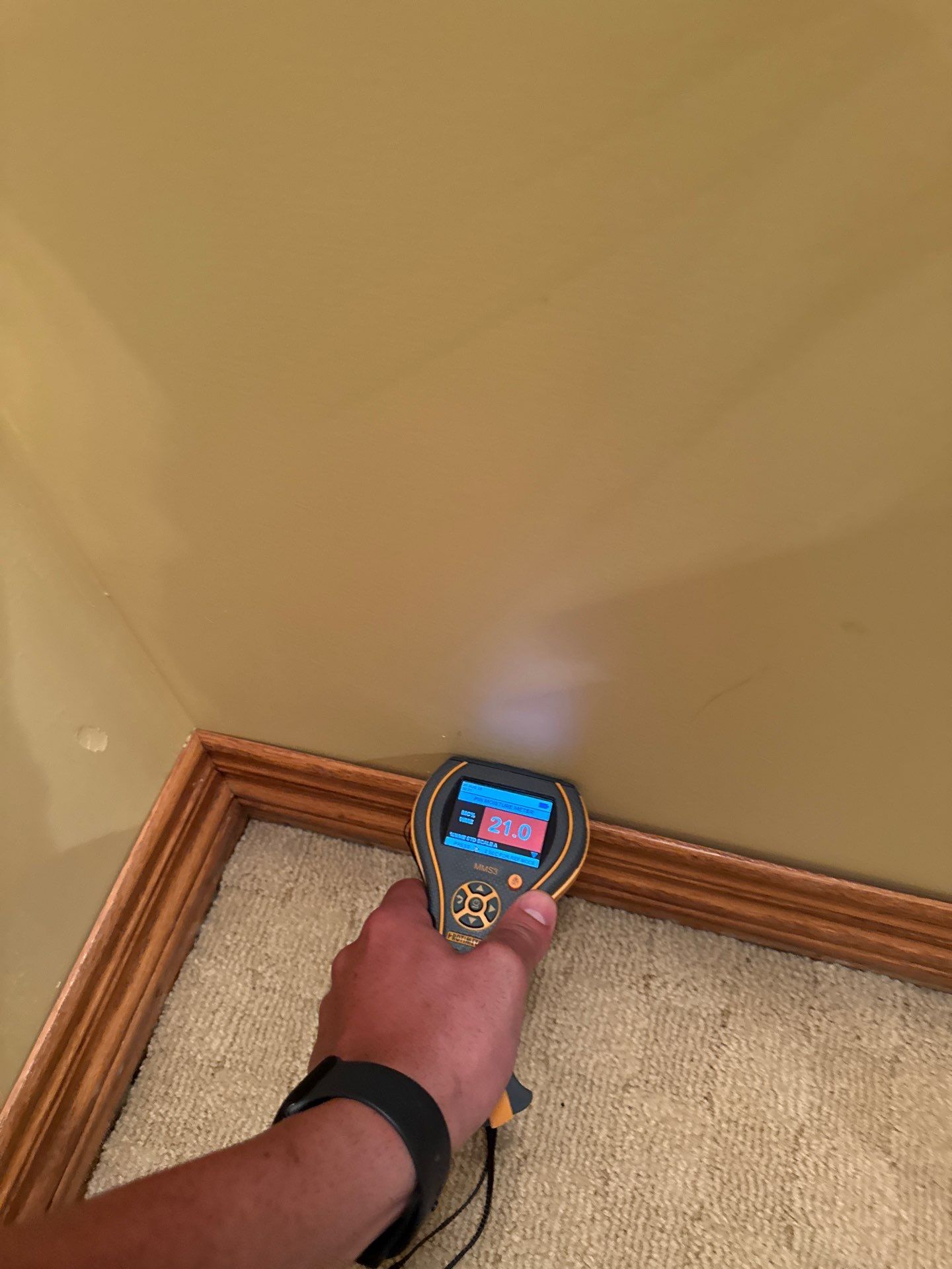 Project in Novi by EzDry Water Mitigation & Property Restoration