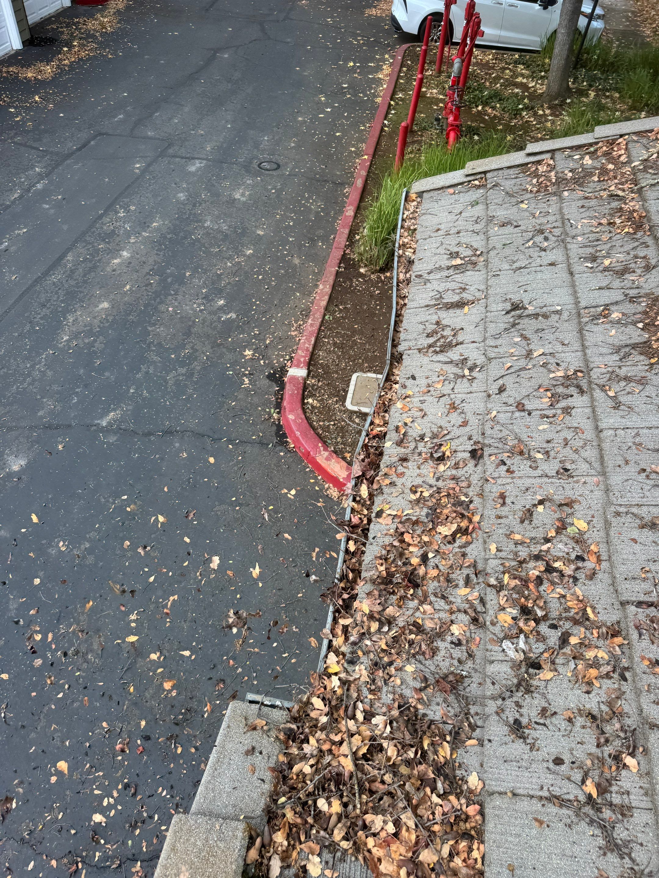 Commercial gutter cleaning Folsom & El Dorado Hills, CA before photo with filled gutters