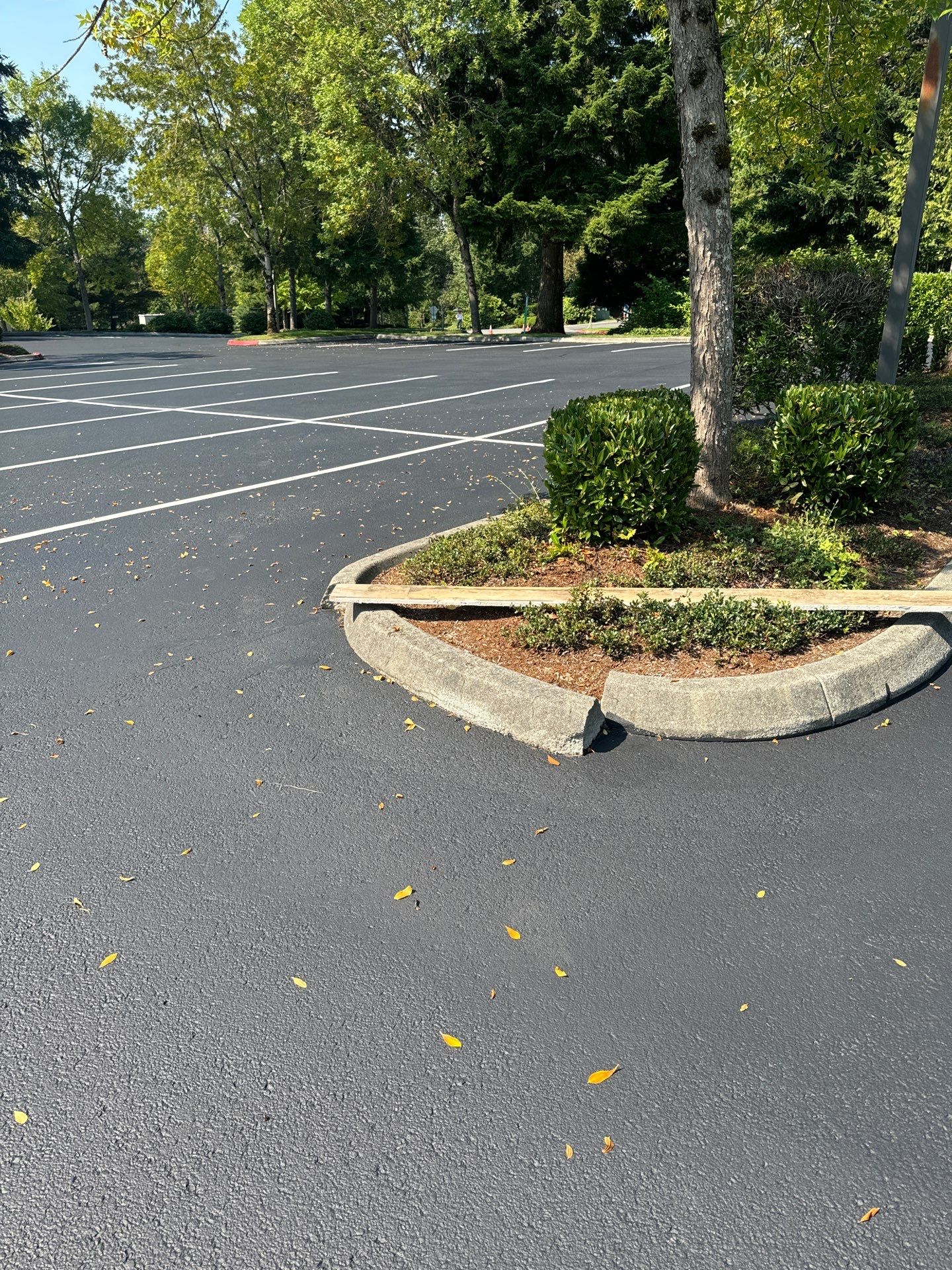 Kidder Matthews | Parking Lot Sealcoating & Striping with Concrete Curb & Patch Repairs  by Jireh Asphalt & Concrete Inc 