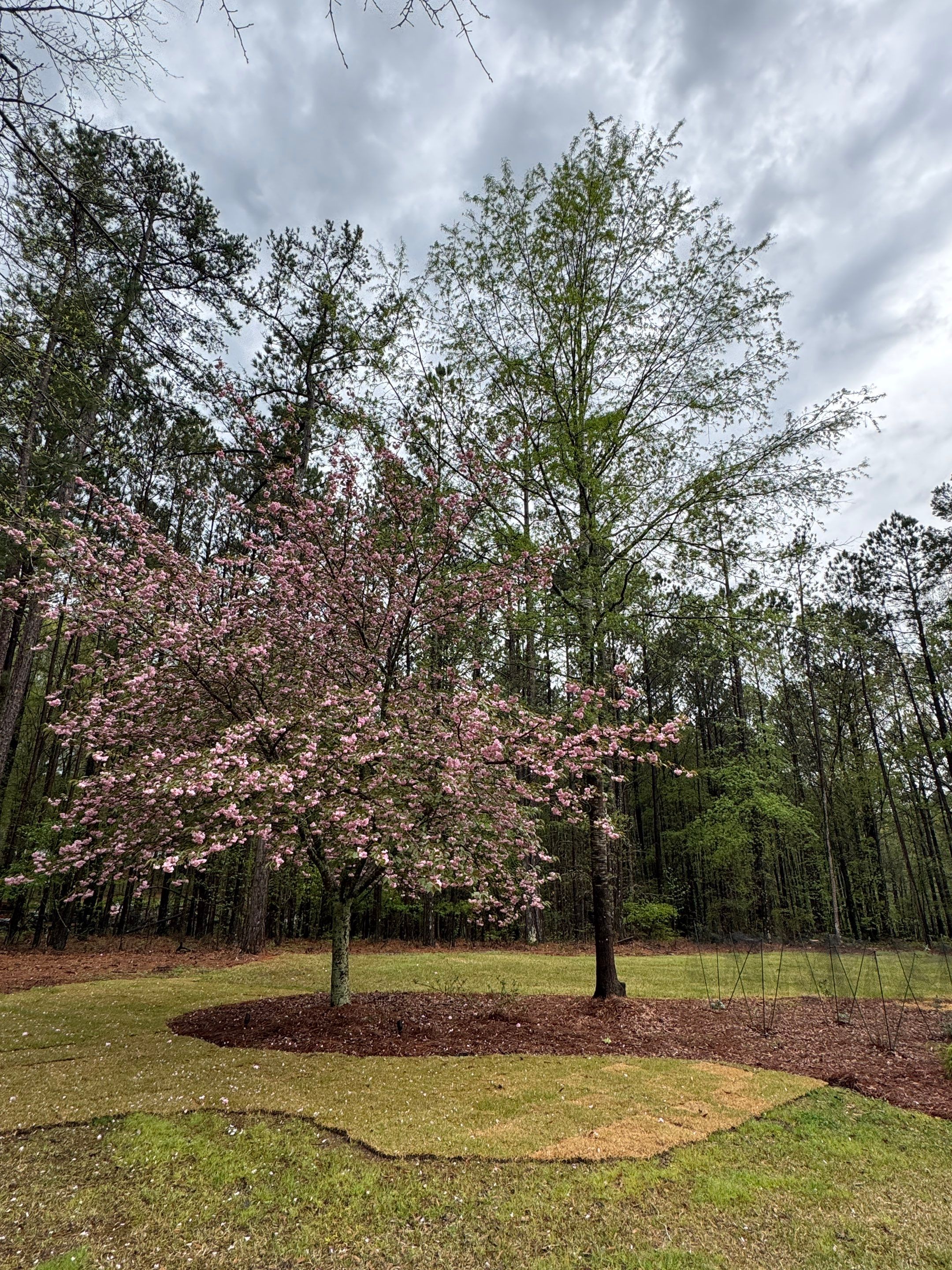COLD Project by Georgia Outdoor Decor