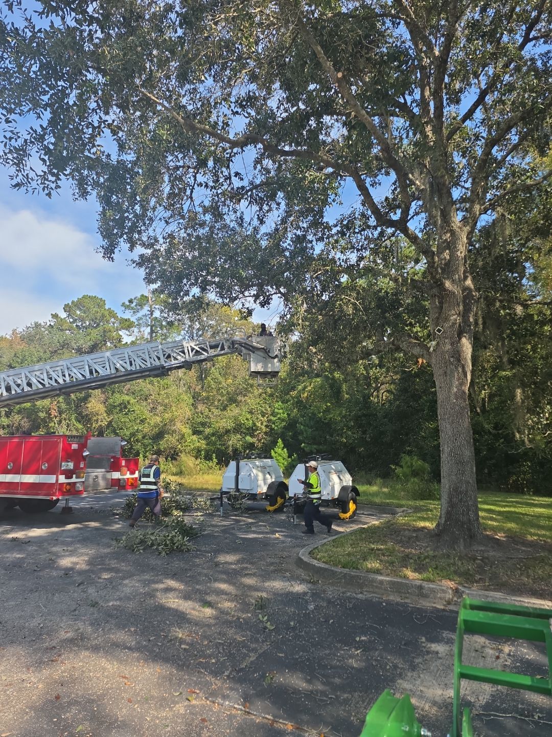 Tree & Palm Trimming | Commercial Property by ProGreen Services