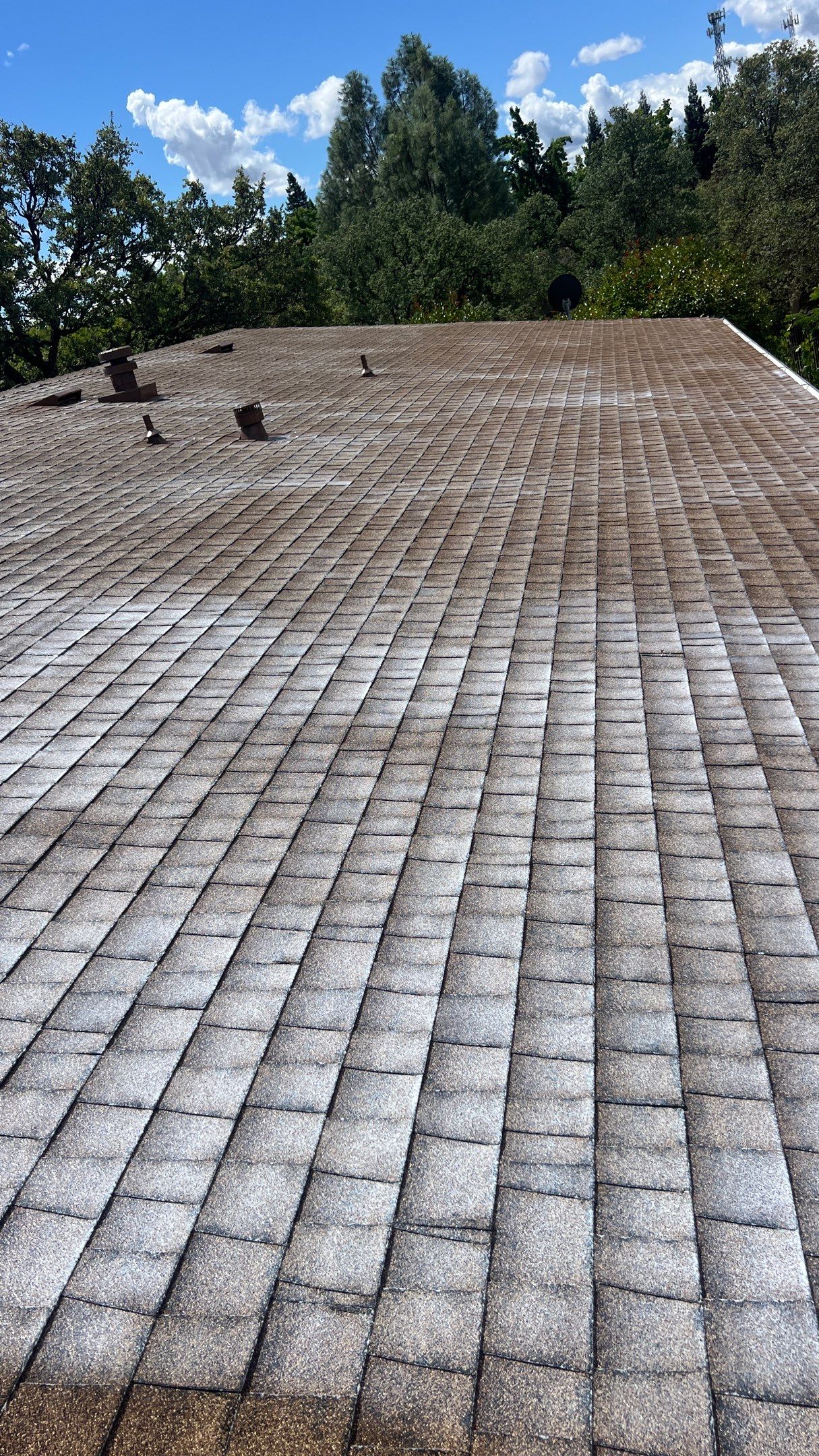 Roof Rejuvenation using Roof Maxx Treatment by Roof Maxx of Folsom