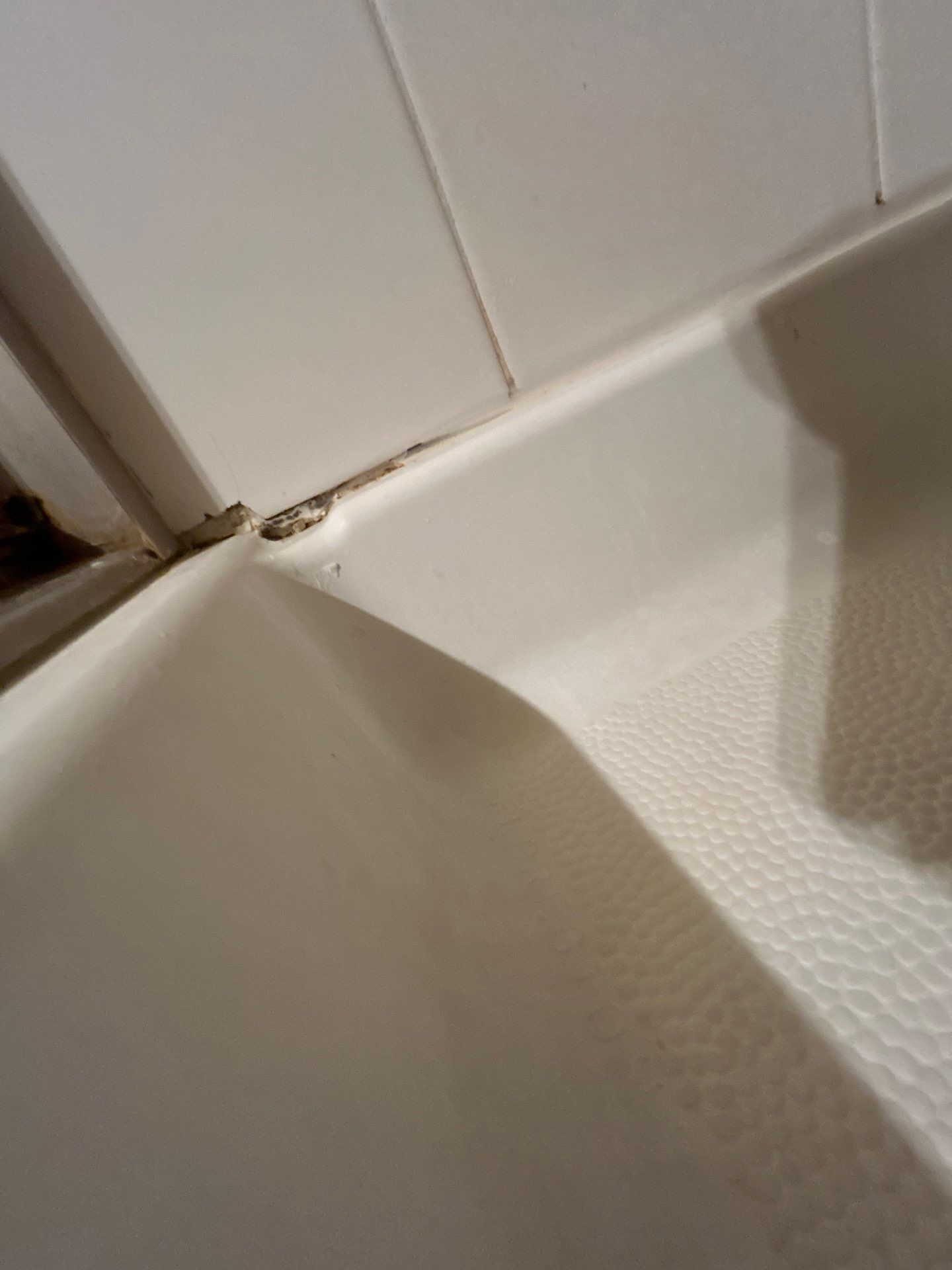 Project in Arvada by Accountable Home Services