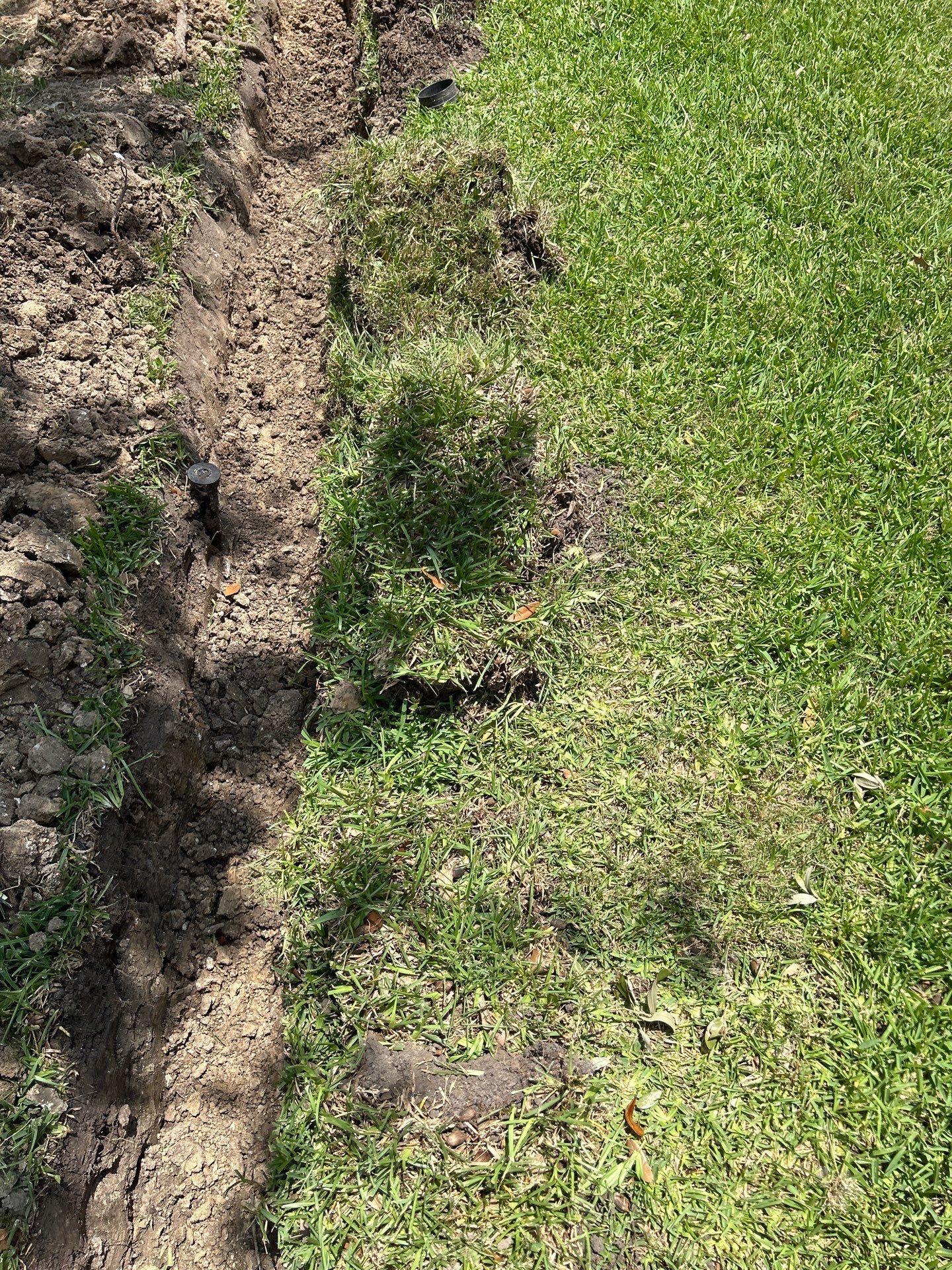 Major Water Problem Solved: Drainage Overhaul for Mary Lou! 🌧️➡️ curb by Texas Urban Elements