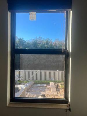 Project in Trinity