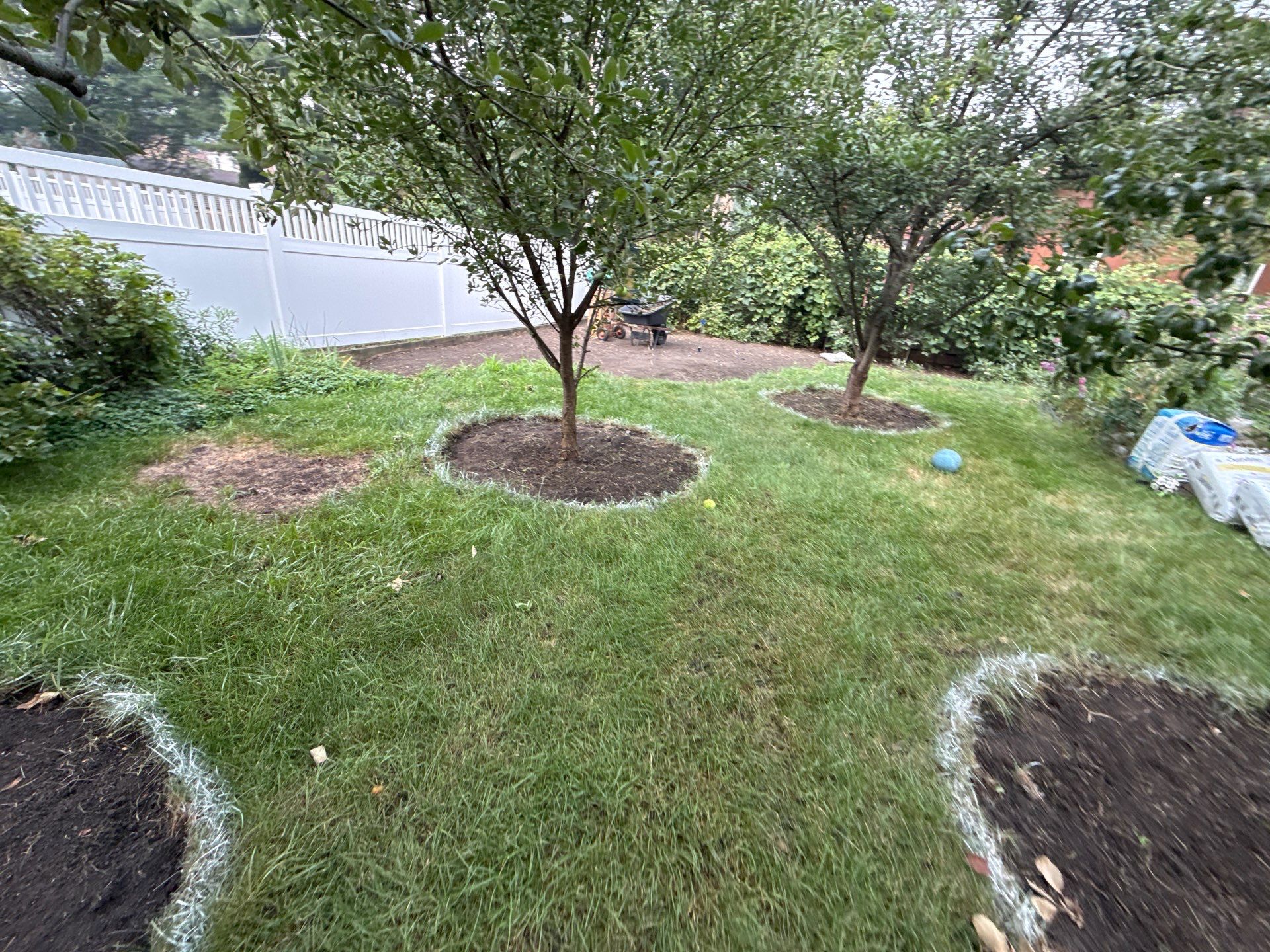 Donna L. - Arlington Heights, IL by A&N