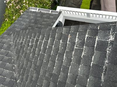 AGS Roof Wash in Mercer Island
