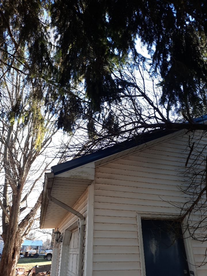 Storm Damaged Tree Removal  using Tree Removal by Mike Jones & Sons Tree Service LLC 