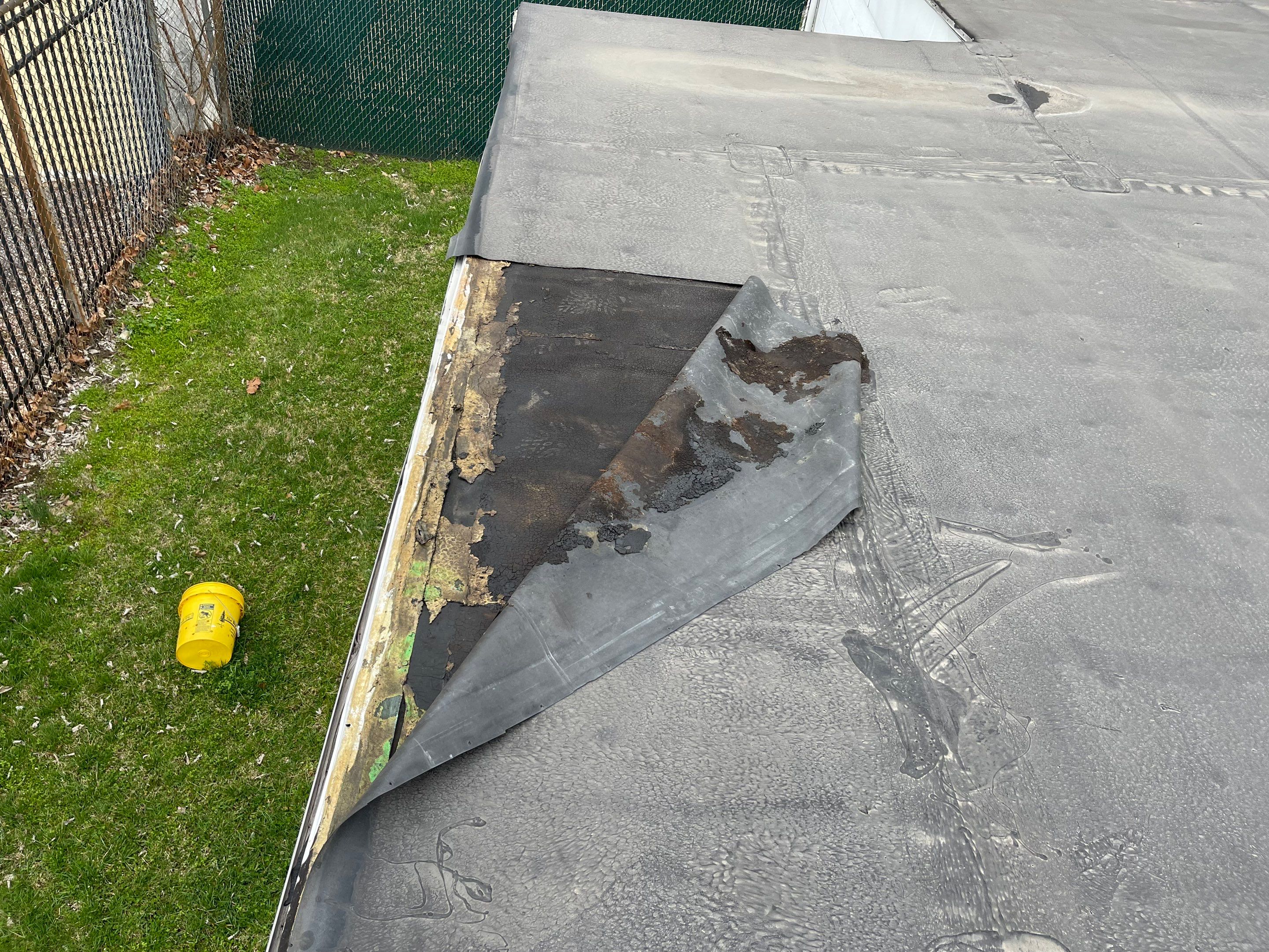 Franklin Eagles by Constructive Project Management