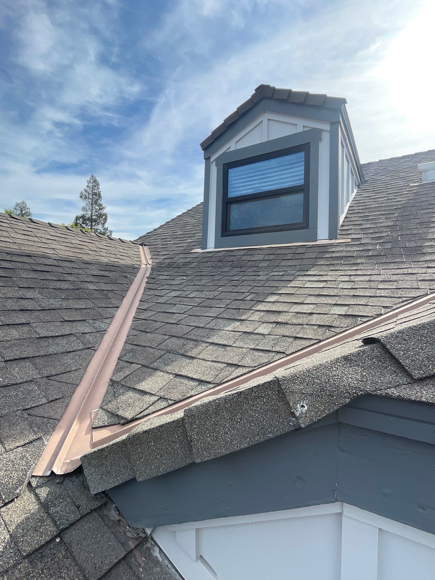 Roof Rejuvenation using Roof Maxx Treatment by Roof Maxx of Folsom