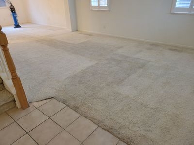 Traffic Carpet Fiber Abrasions, Cleaning