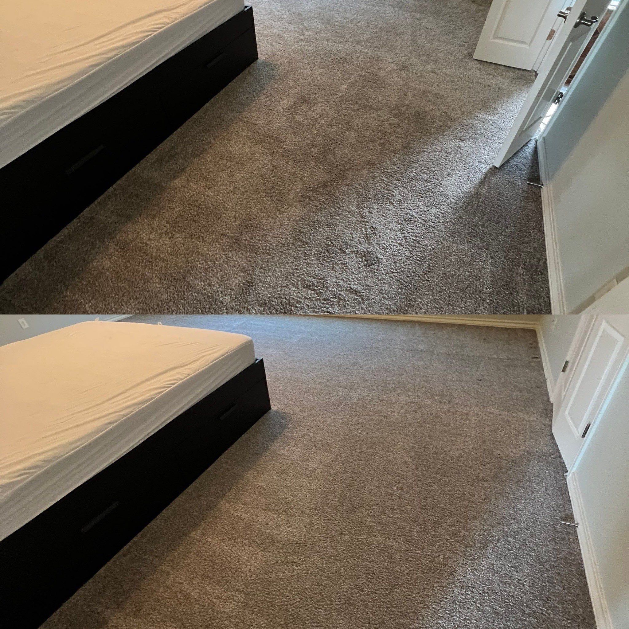 the carpet cleaning service is removing stains and dirt from the carpet near the bed creating a brighter appearance