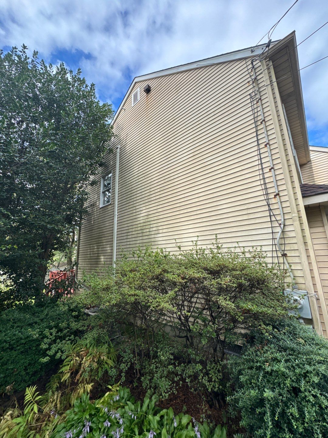 Multi Services by SJ Exterior