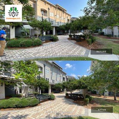 MULTI FAMILY PROPERTY: HEDGE TRIM / BED CLEAN