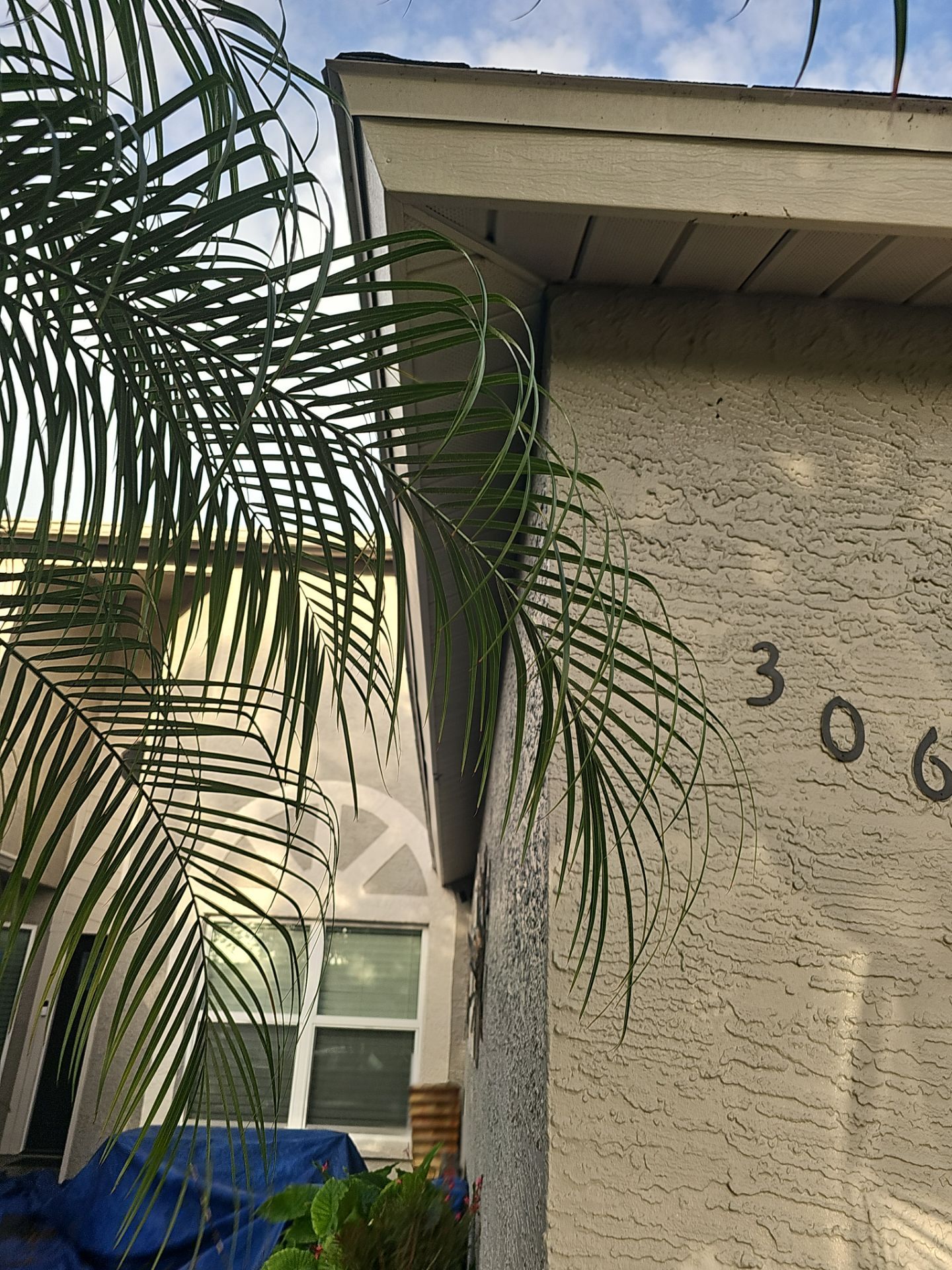Project in Palm Harbor 34684 by Mitchell Roofing Company LLC 