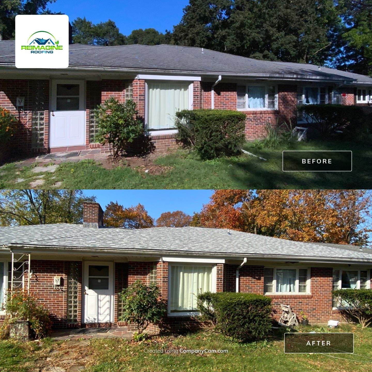 Silver Birch Shingles by Reimagine Roofing