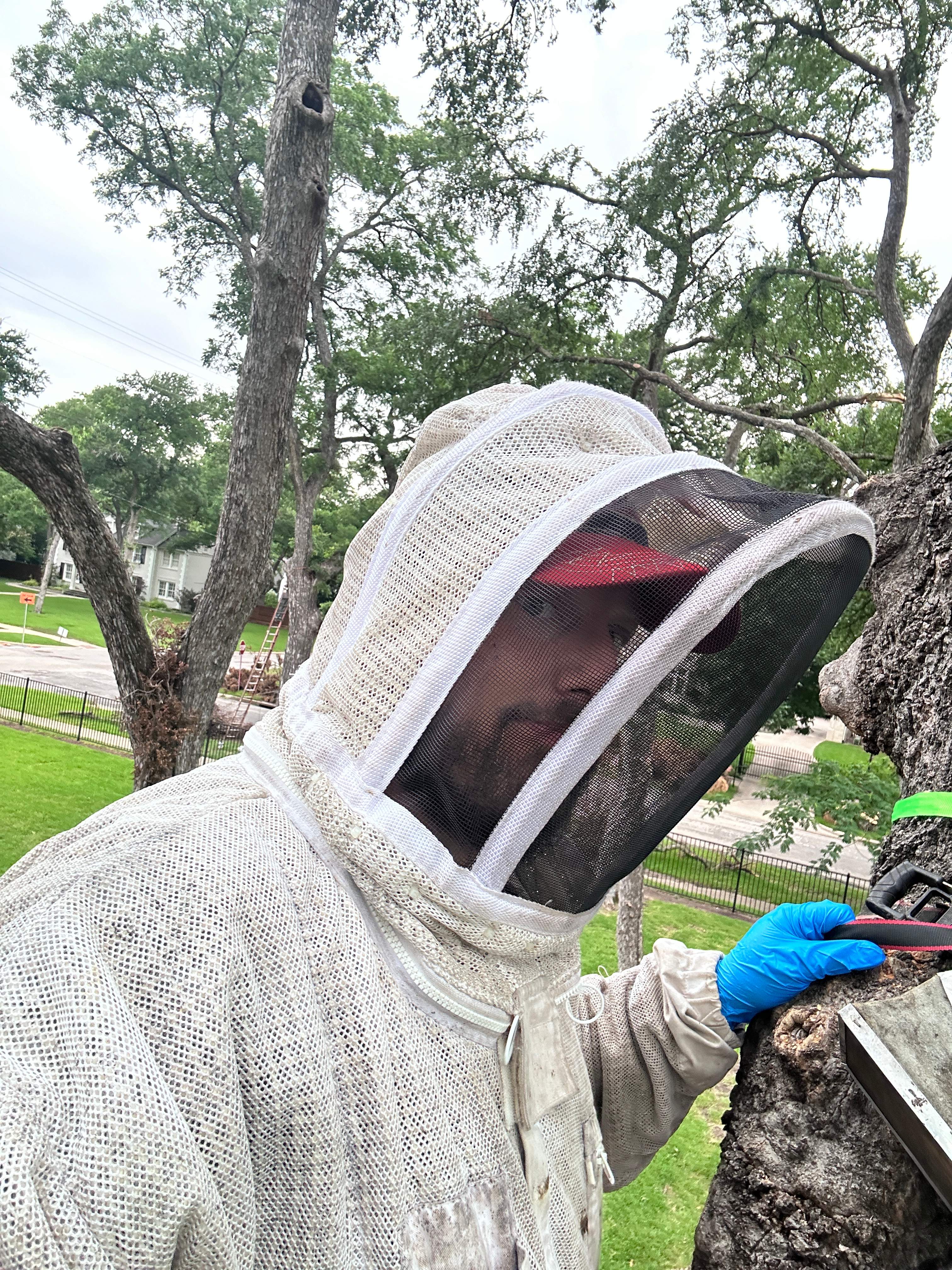 Smile! by Rockwall Honey Bee Company