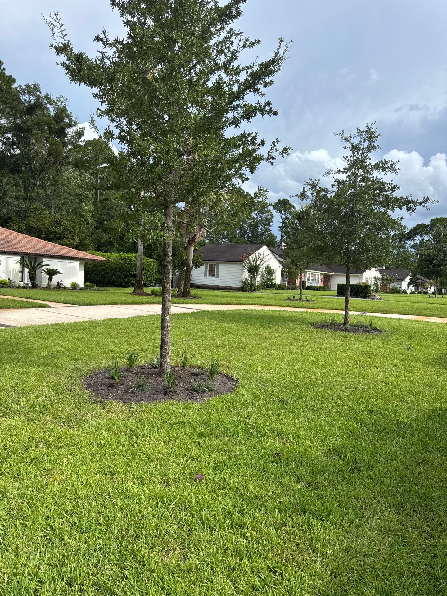 Deerwood Resident | Bed Design & Upgrade by ProGreen Services