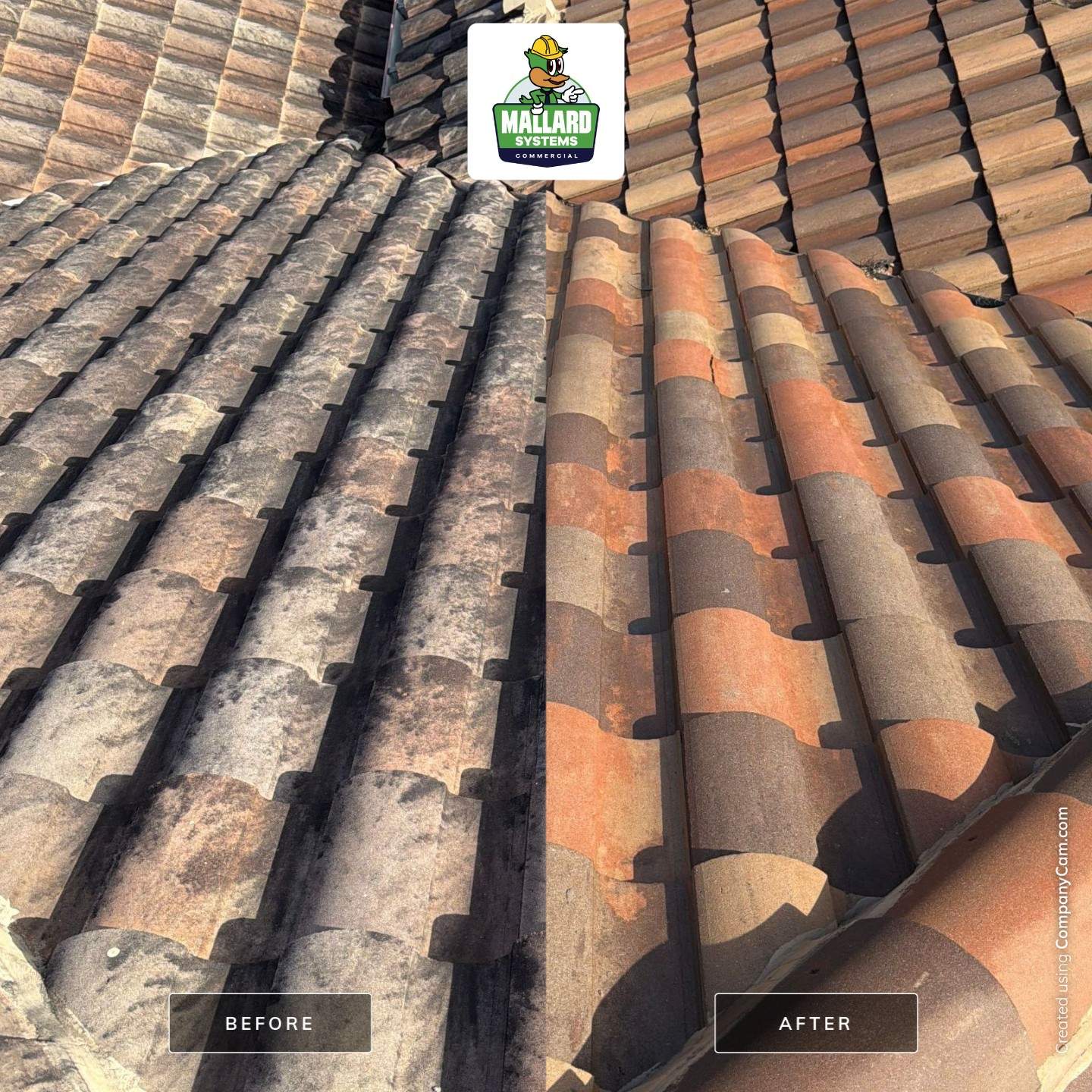 Tile Roof Cleaning for Winter Park Residence by Mallard Systems