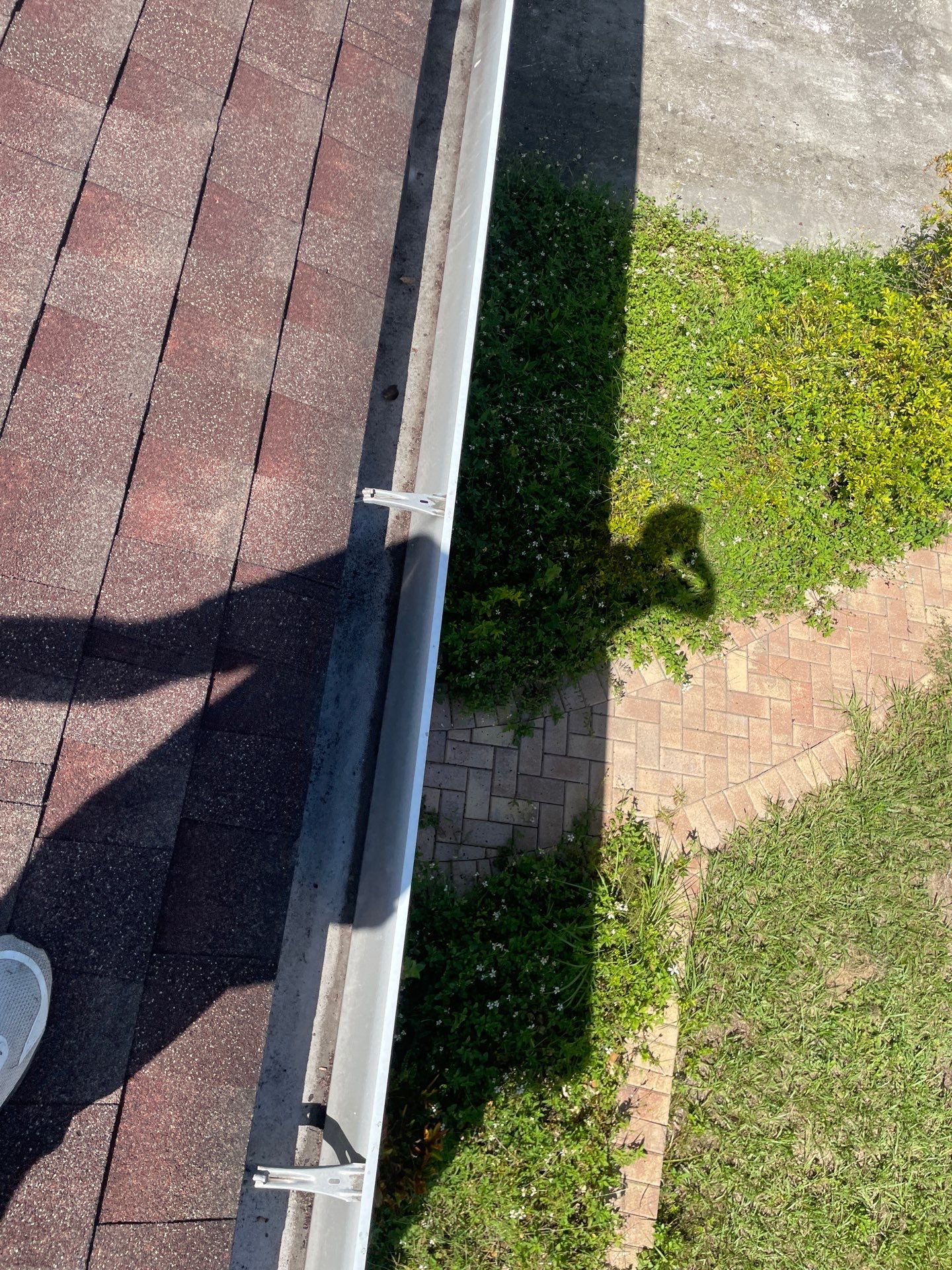 Gutter Cleaning in Brandon FL by Gutter Professors