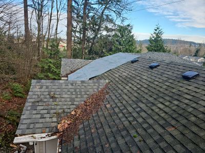 Repair Project in Issaquah