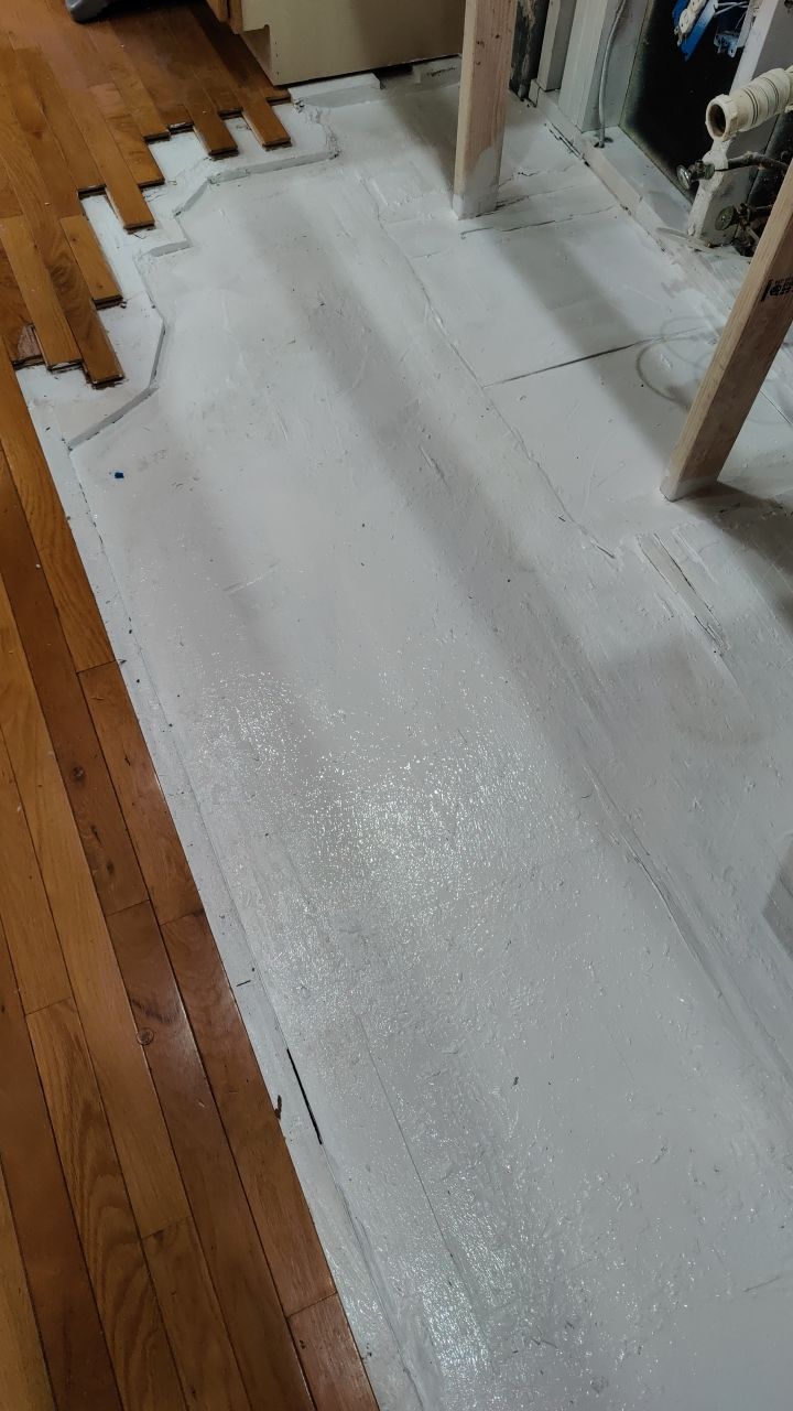 Mold Damage by Accountable Home Services