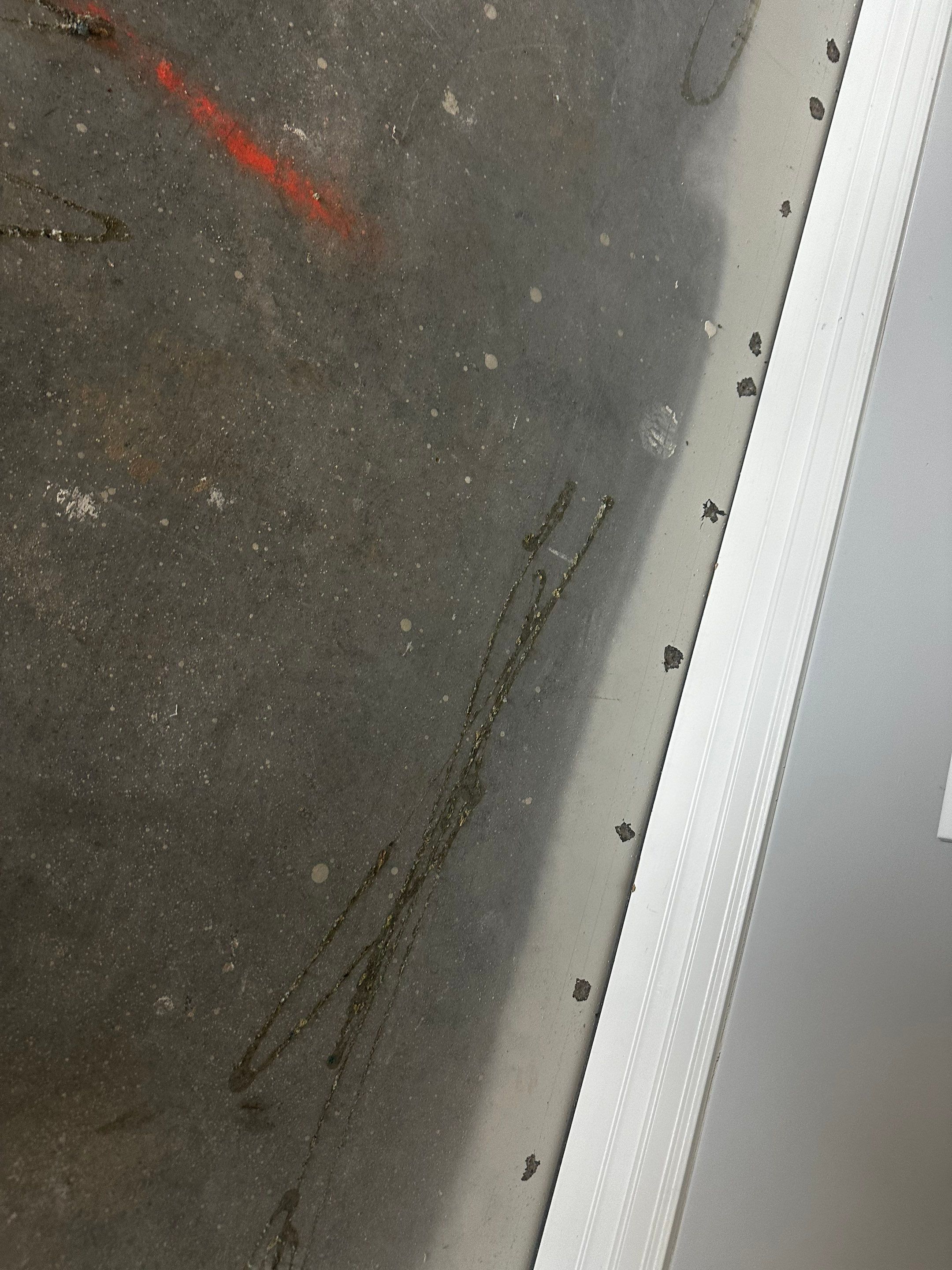 Industrial Basement Renovation! by Revival Concrete Coatings, LLC