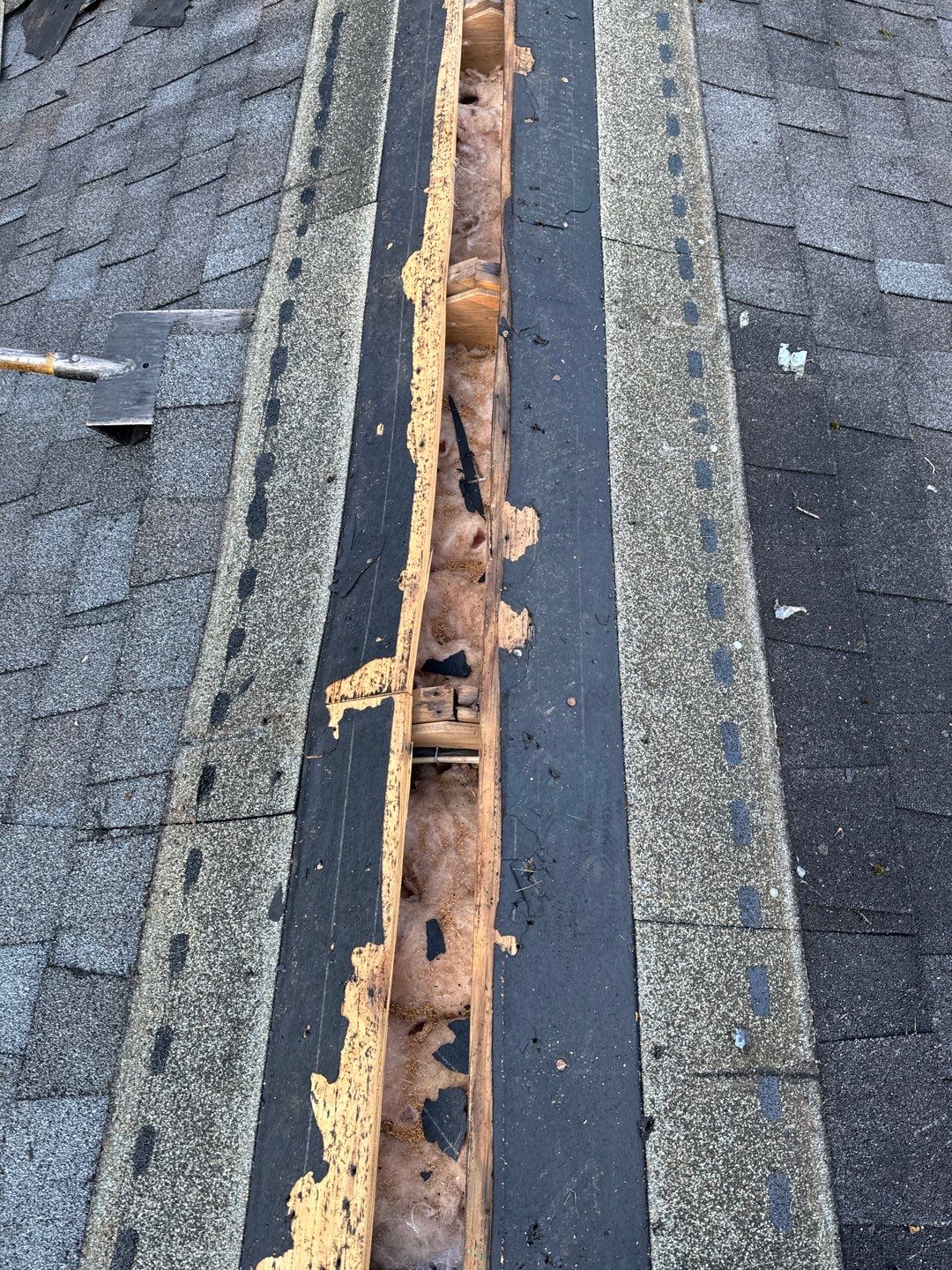 Project in Davidsonville by Elvis General Construction LLC