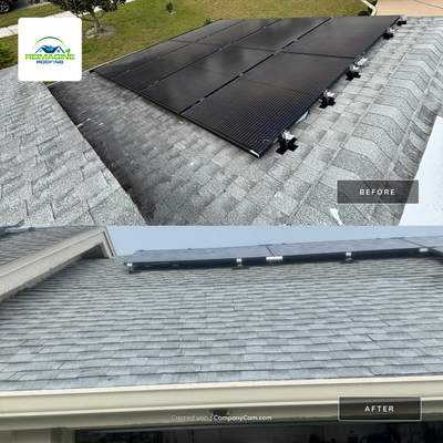 Silver Birch Shingles