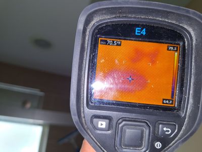 Mold Remediation in Louisville, KY 