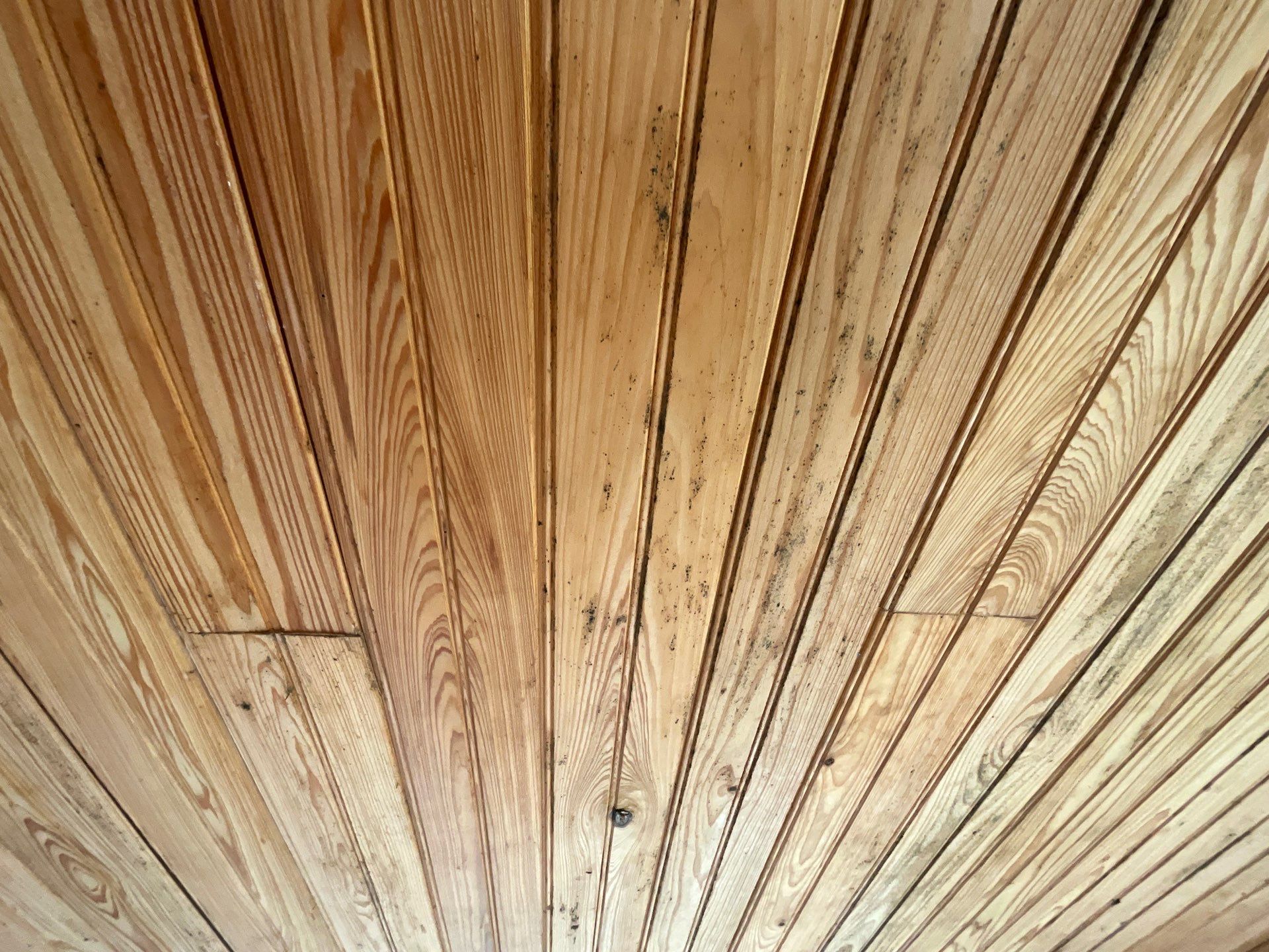 Residential Exterior Painting in Falls Church, VA by My Painter 