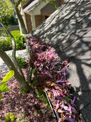 Turtle Shell gutter protection installation in Naperville, IL 60565, photograph 2