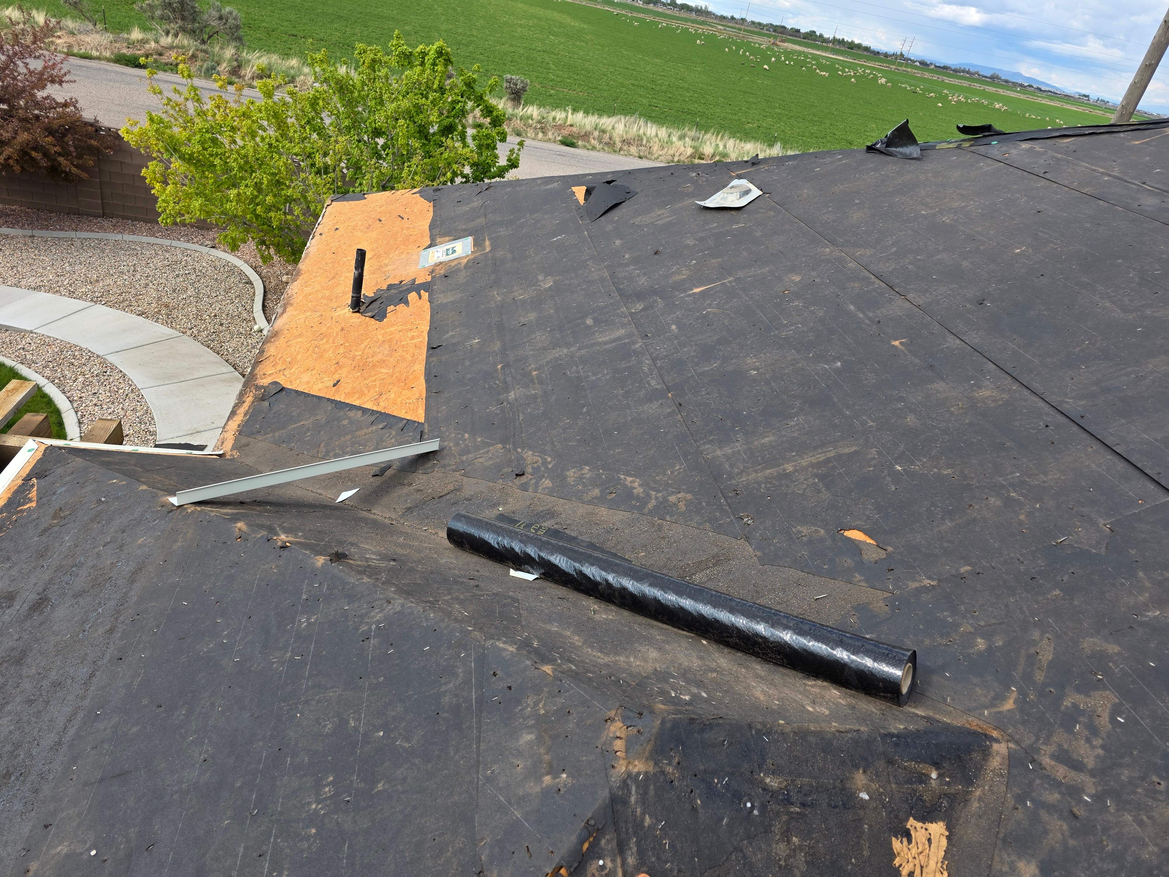 Residential Roofing Installation using Asphalt Shingles by Unified Roofing