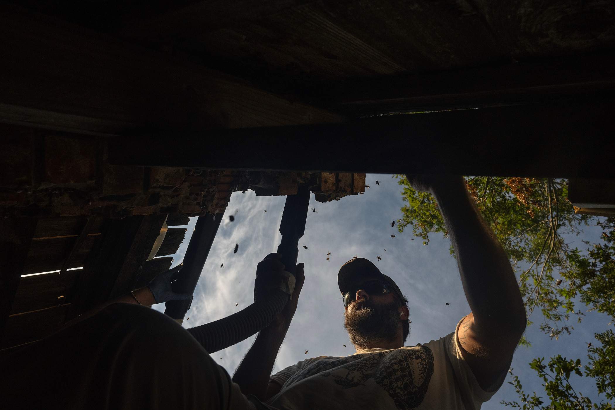 Brick Column by Rockwall Honey Bee Company