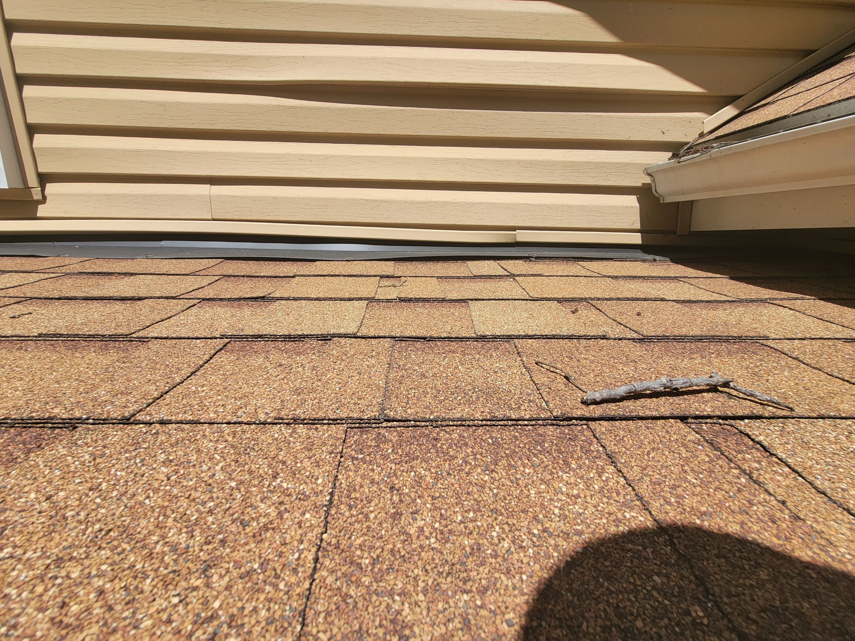 Tracy Armstrong by Silver Leaf Contracting 