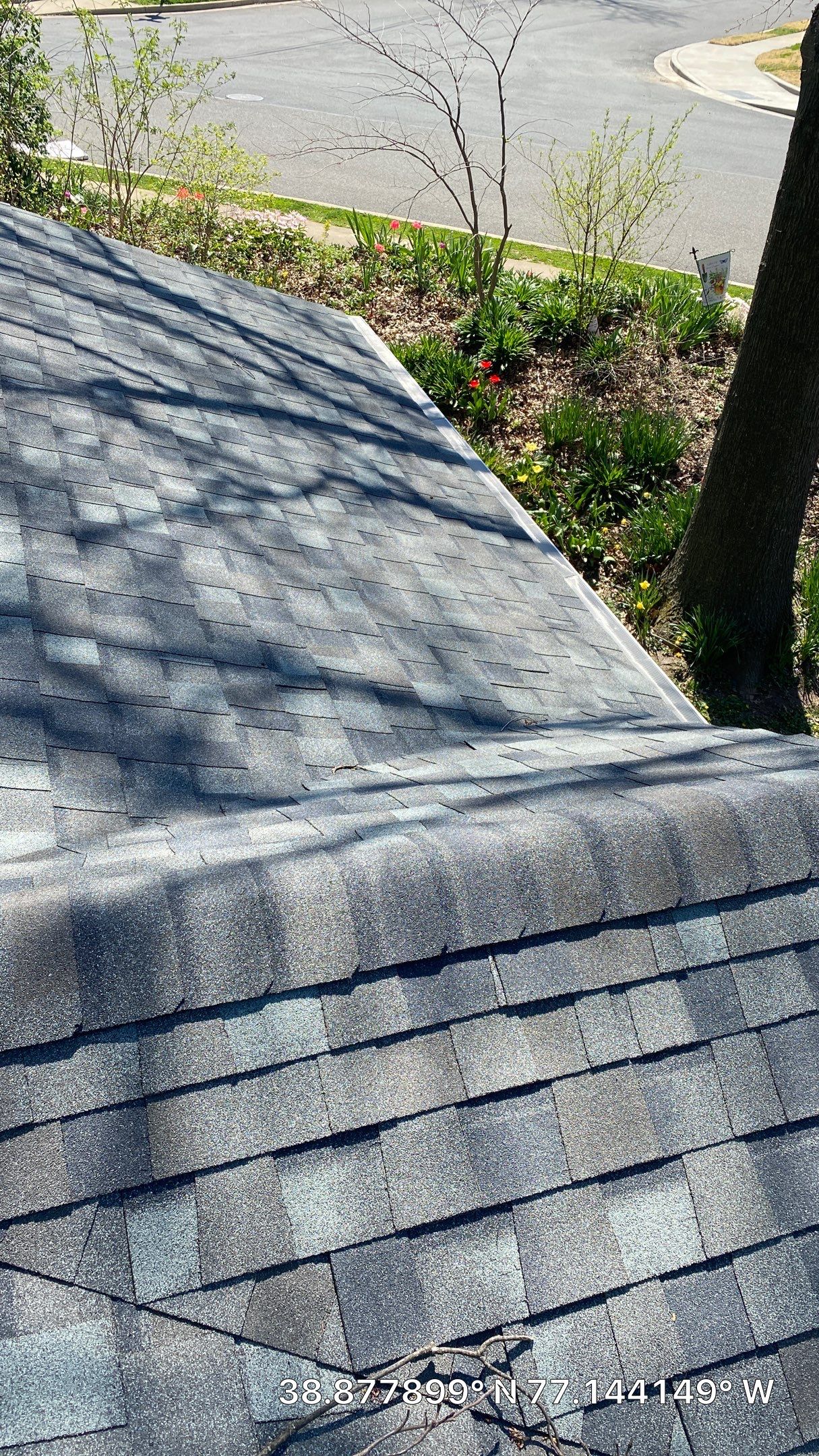 Arlington: CertainTeed Landmark Pro Designer Shingles in Max Def Georgetown Gray by RM Banning, Inc.