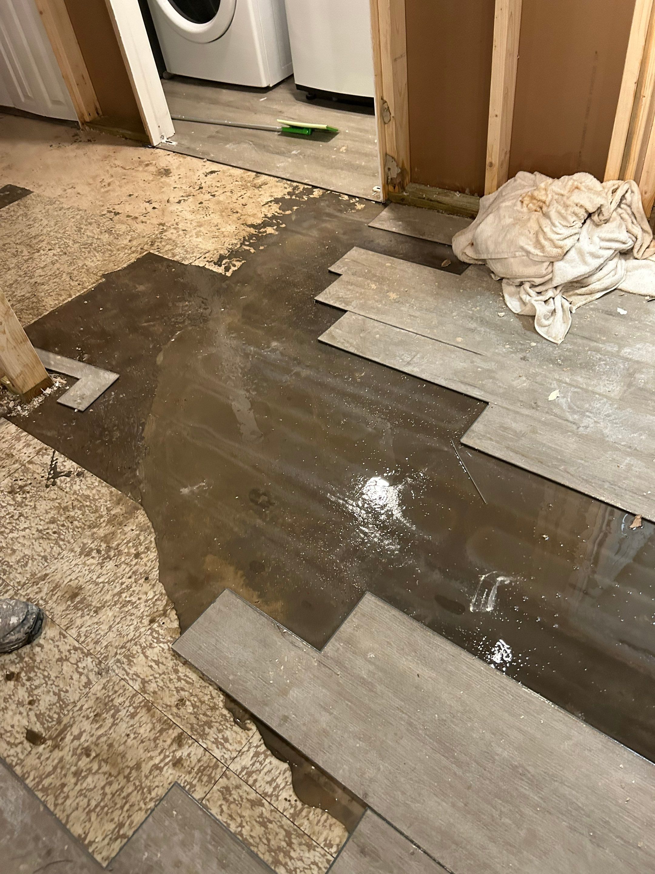 maria aguilera by Unlimited Fire Restoration