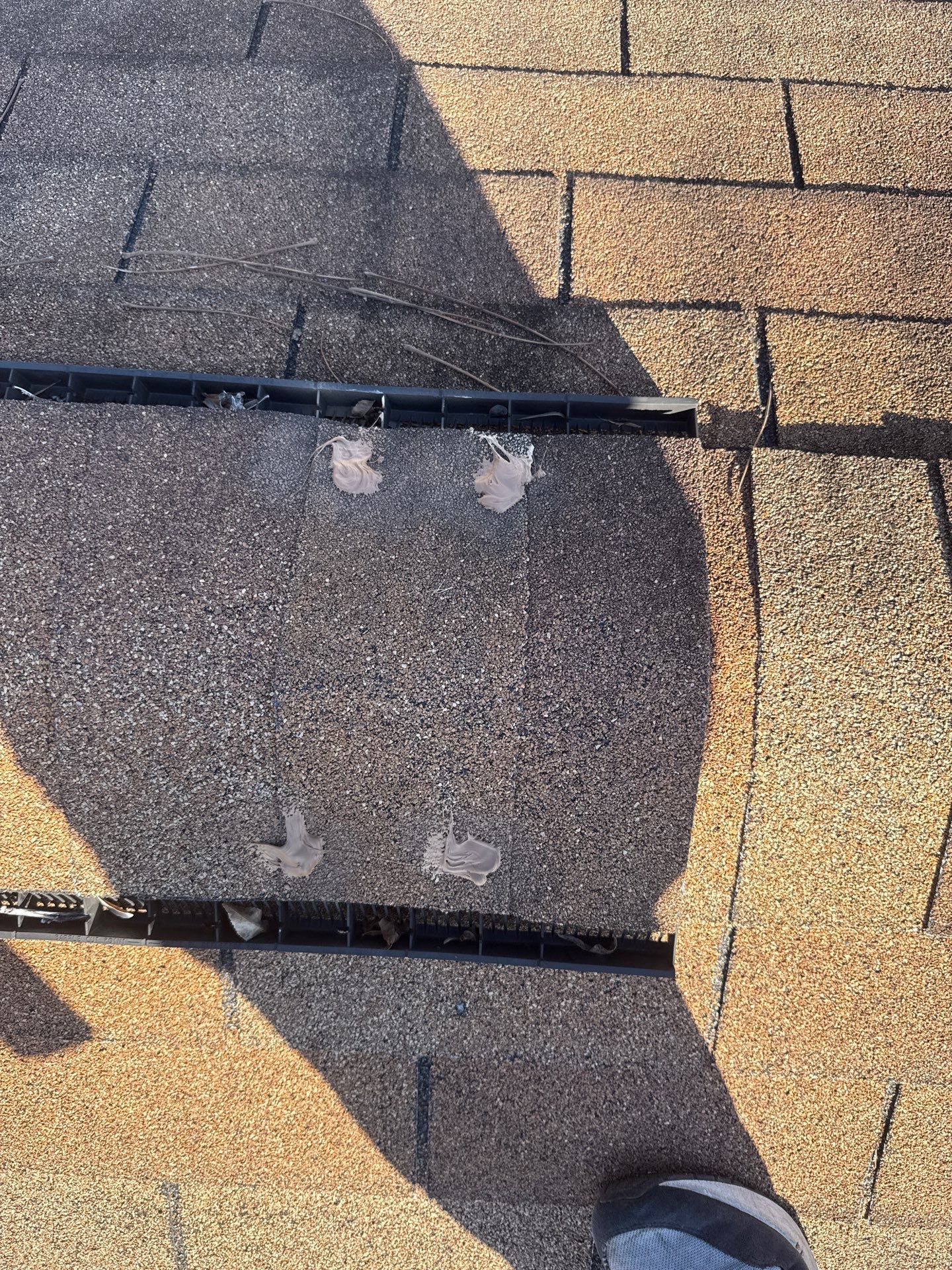 BARB C. by Boss Hogg Roofing