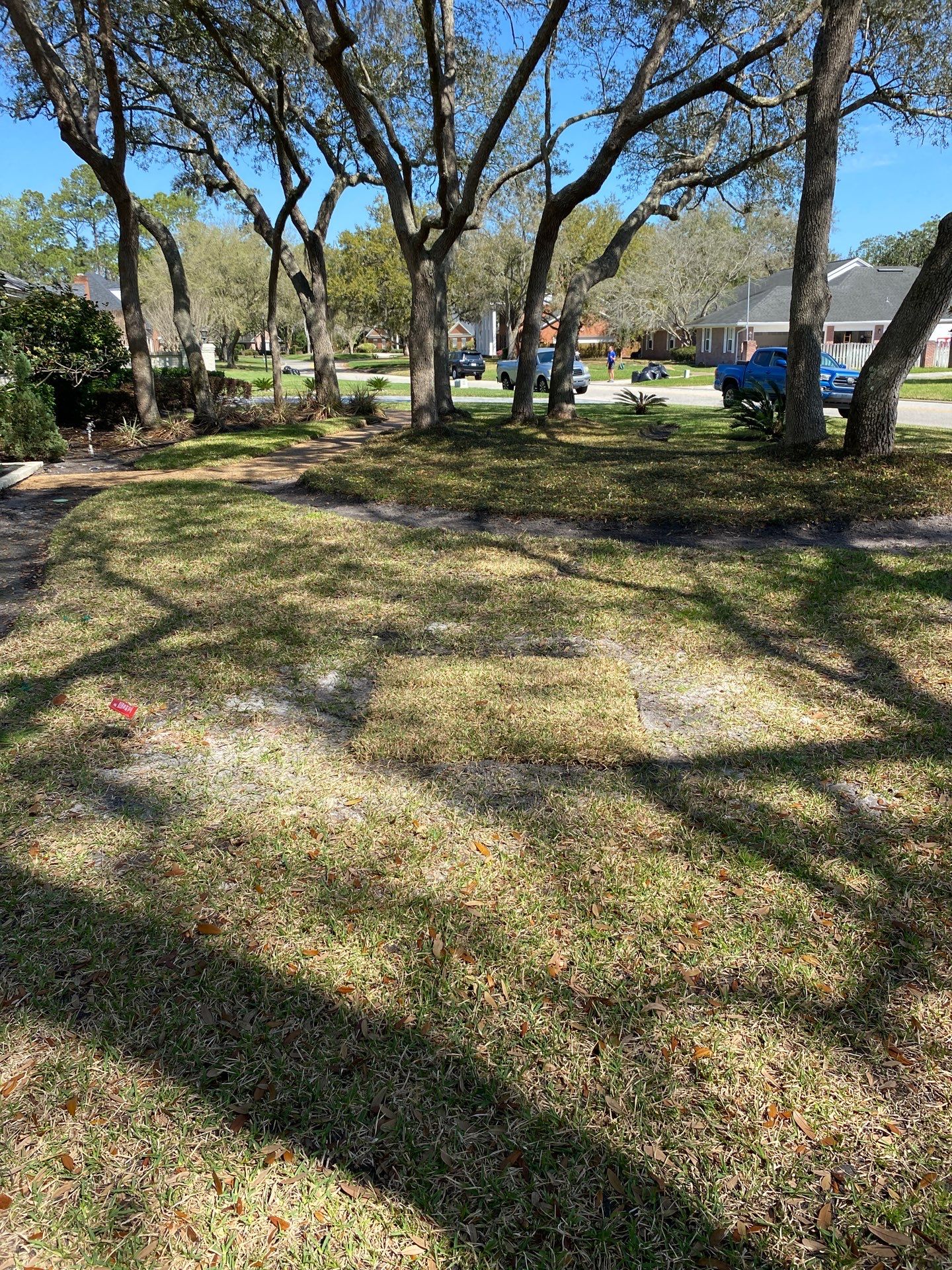 Deerwood Resident | Tree Service by ProGreen Services