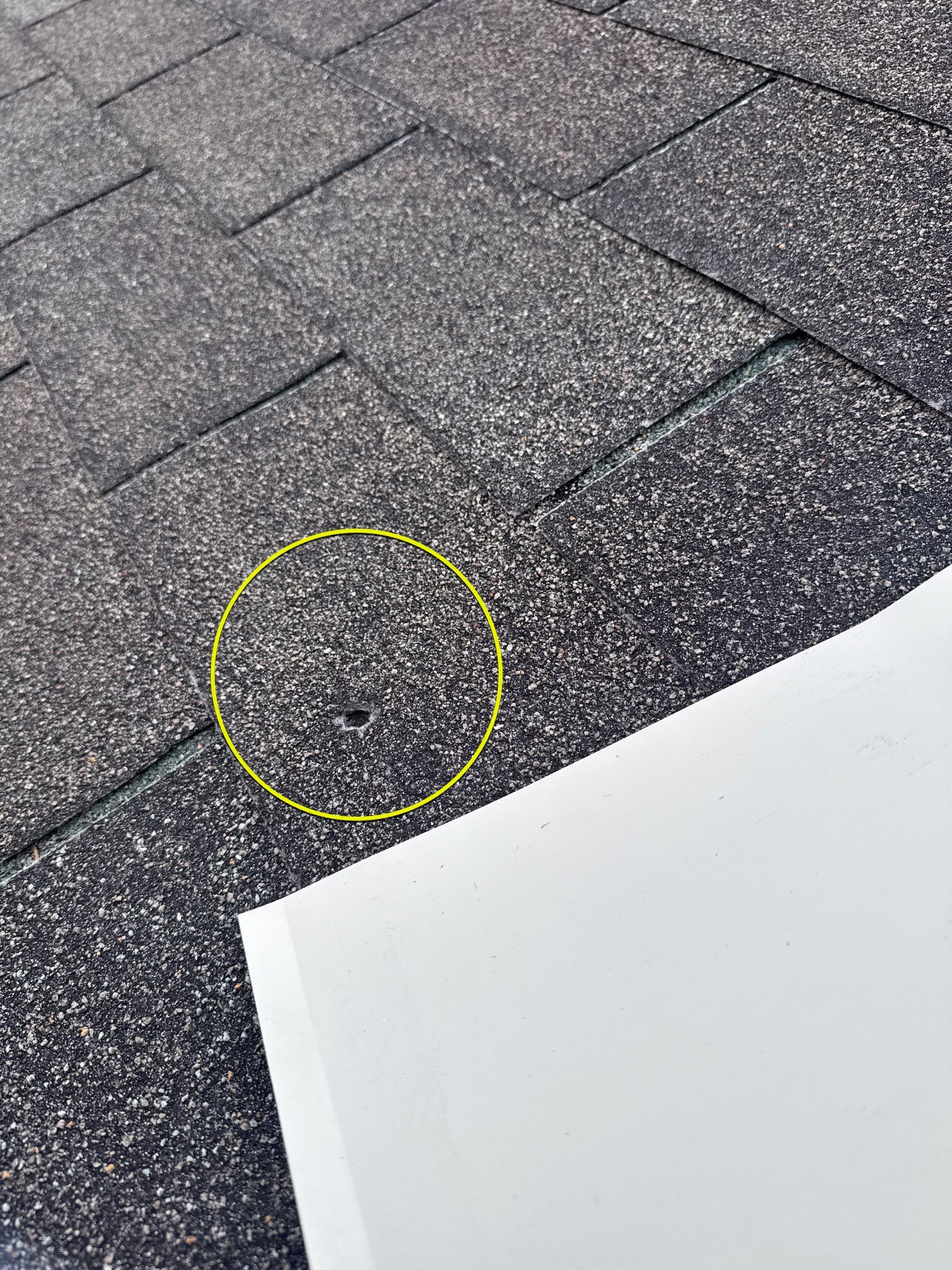 New shingle Roof an New gutters & Downspouts by Alpha Design Services