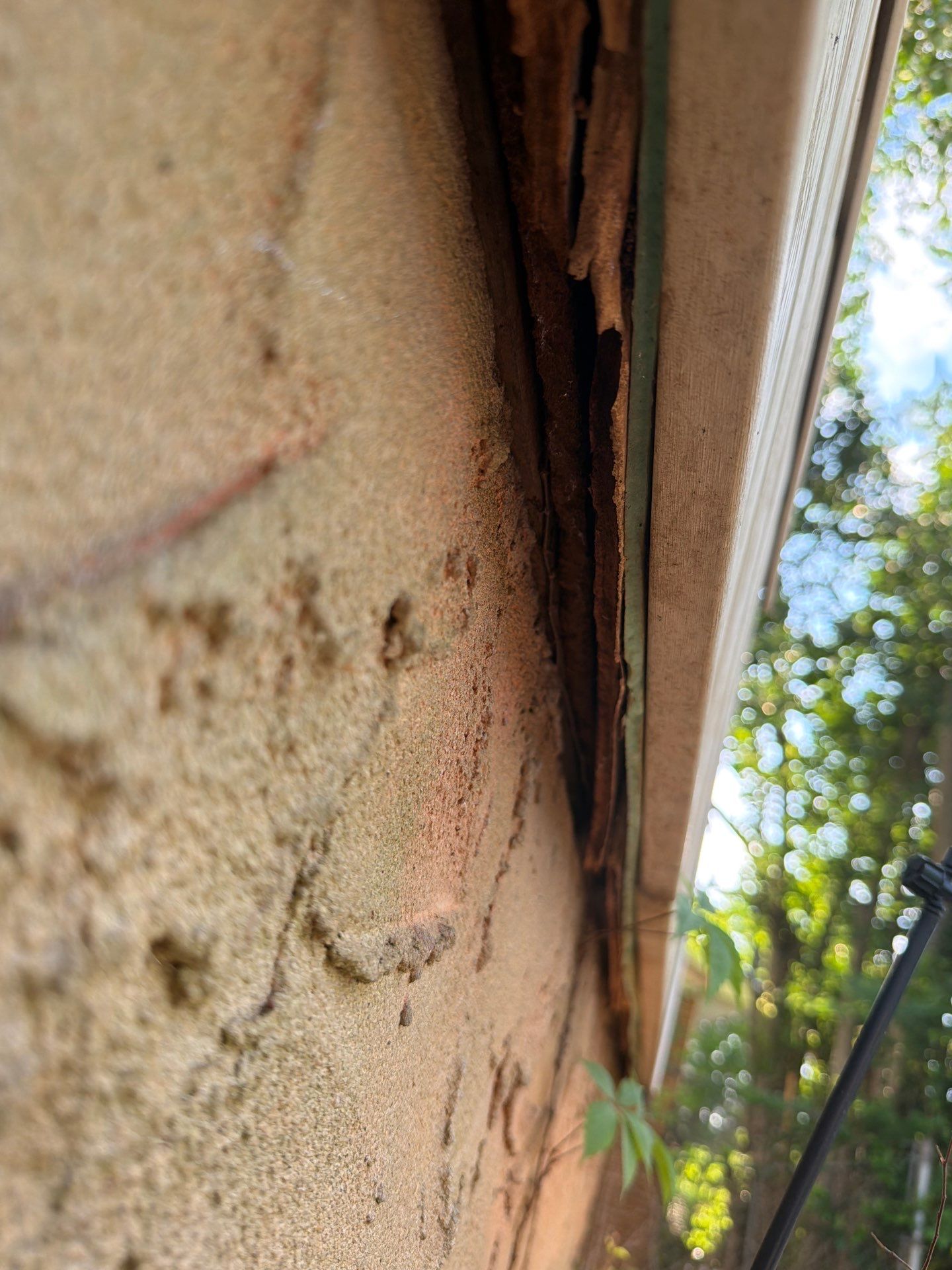 Comprehensive Exterior Siding and Window Replacement in Martinez, Georgia by WindowMax