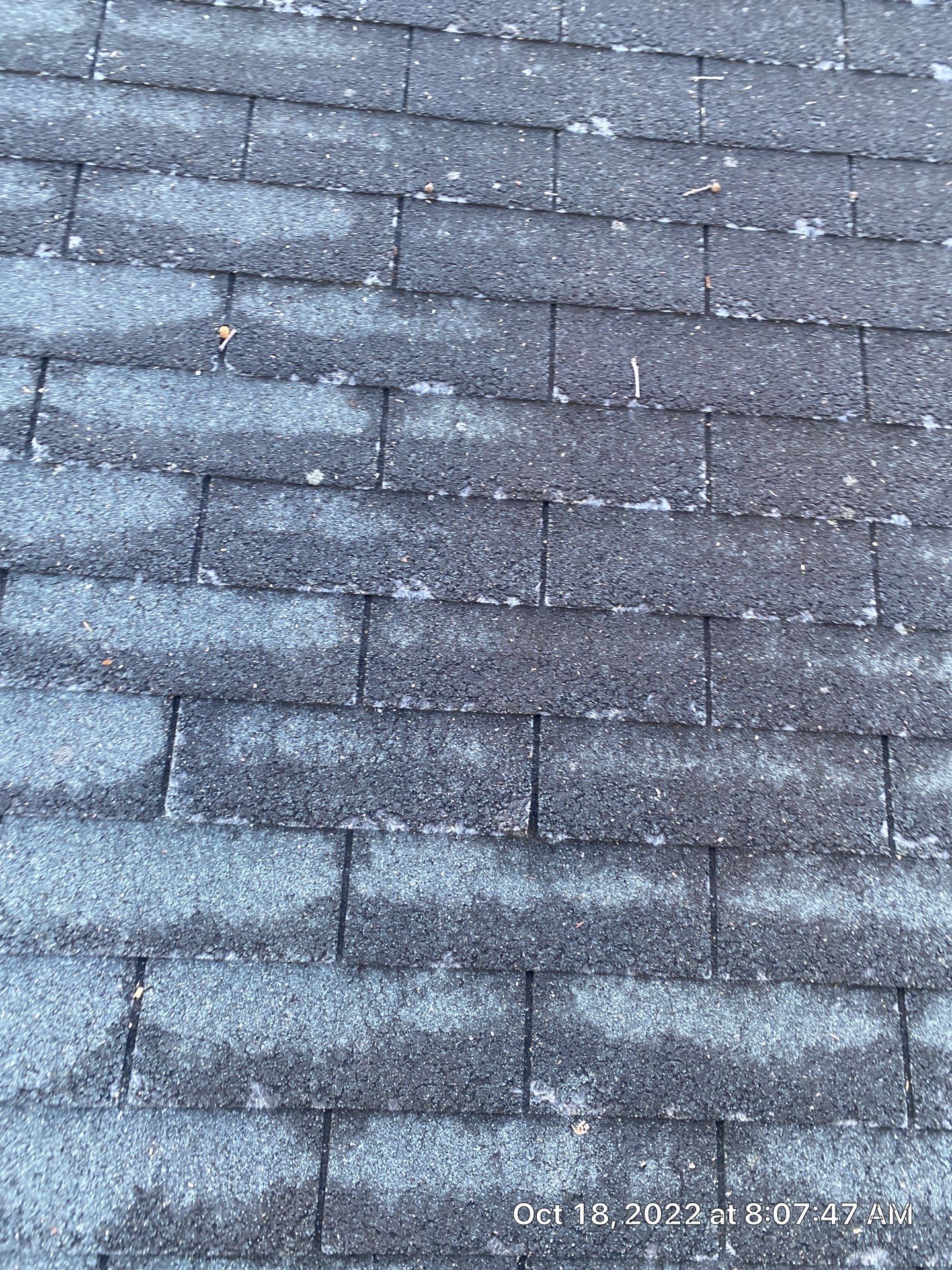 New Roof and 6 inch Gutters by Just In Time Roofing and Restoration