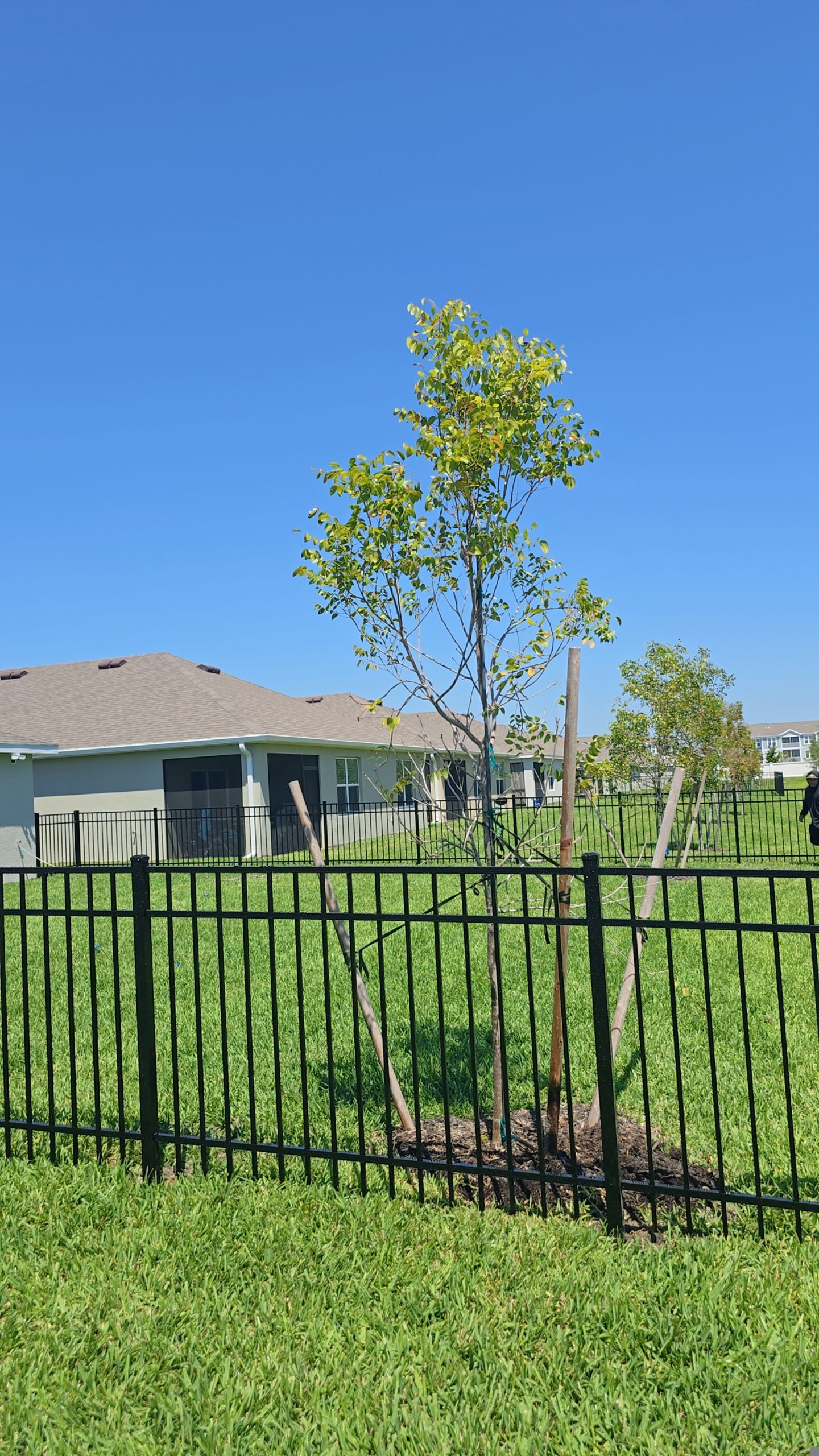 Aluminum Install in Cove at West Port by True Fence LLC