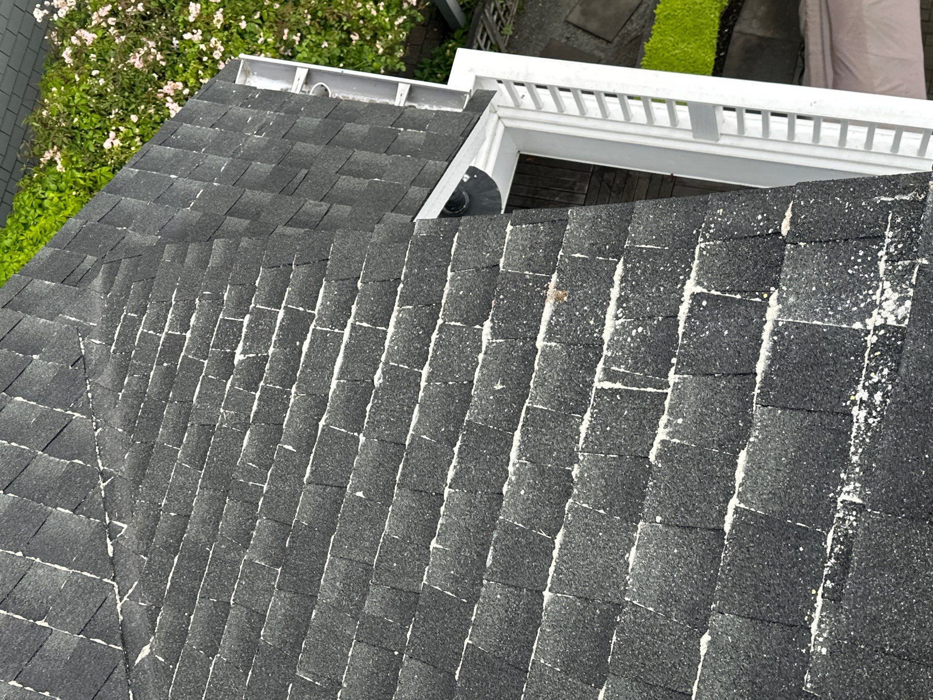 AGS Roof Wash in Mercer Island by WindowWorks
