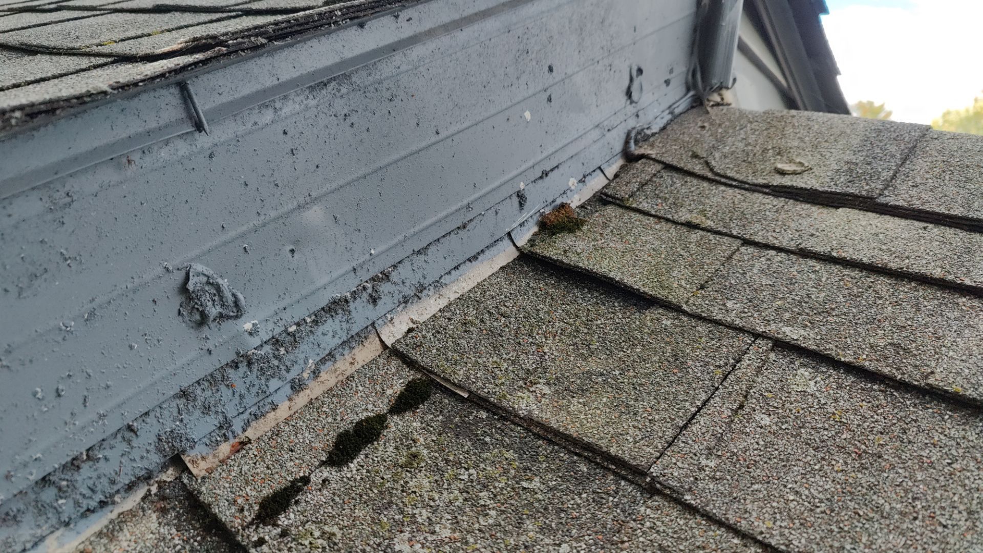 Roof Replacement using Owens Corning Midnight Plum by 180 Contractors