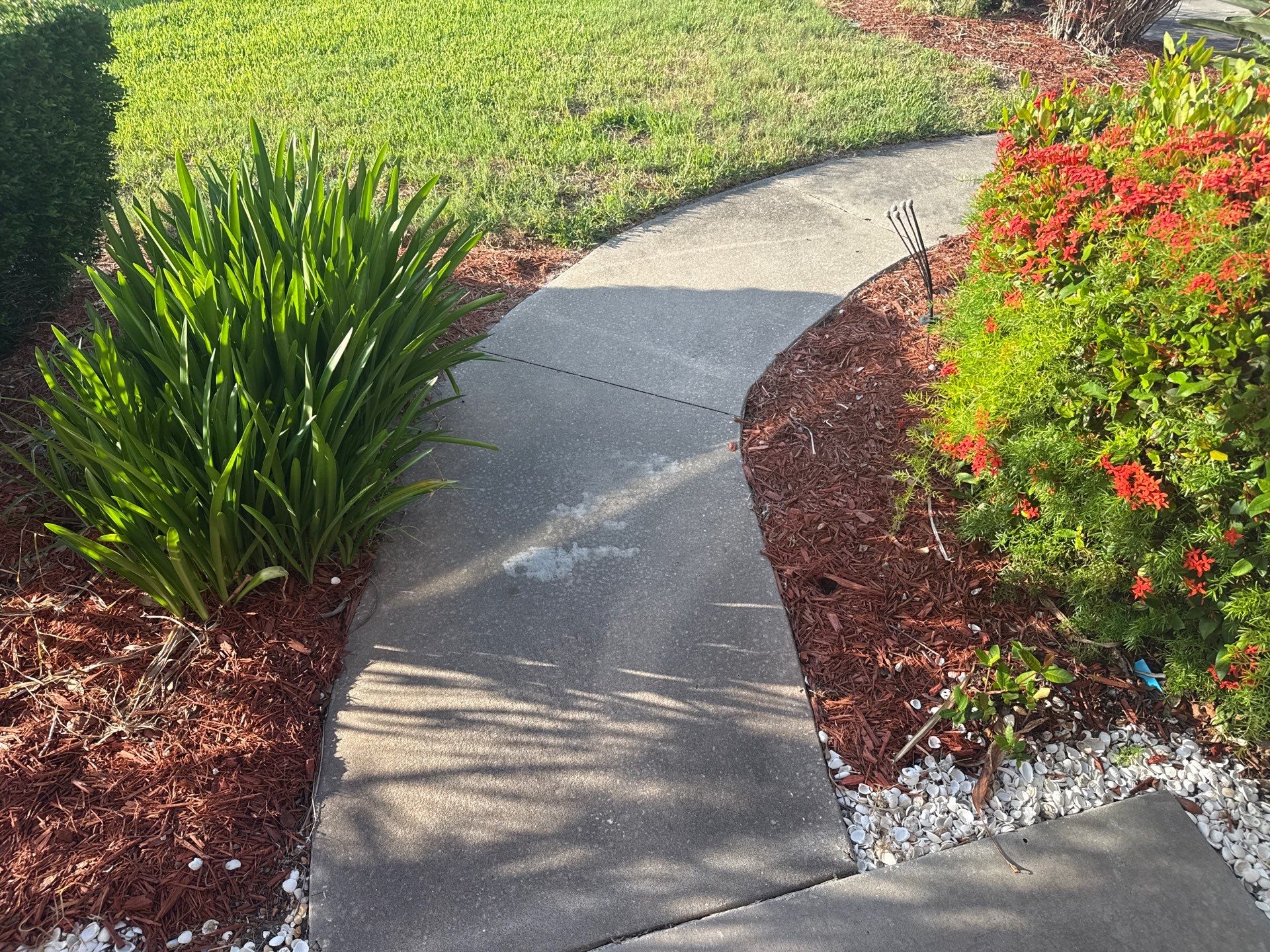 Tile Roof, Driveway & Patio Cleaning – Vivienda at Bradenton I by Sunshine AquaWash