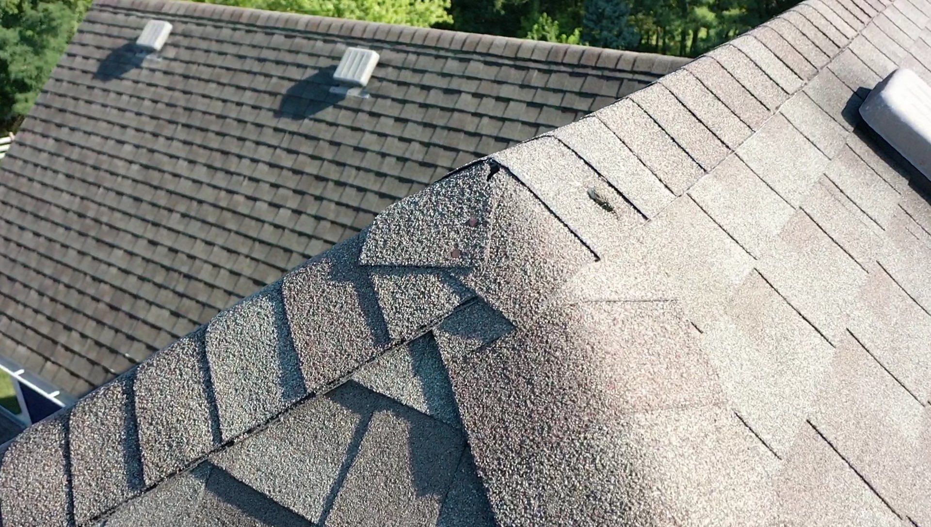 Saved the life of another roof.  Don’t Prematurely Replace Your Roof.  by Save My Roof,LLC